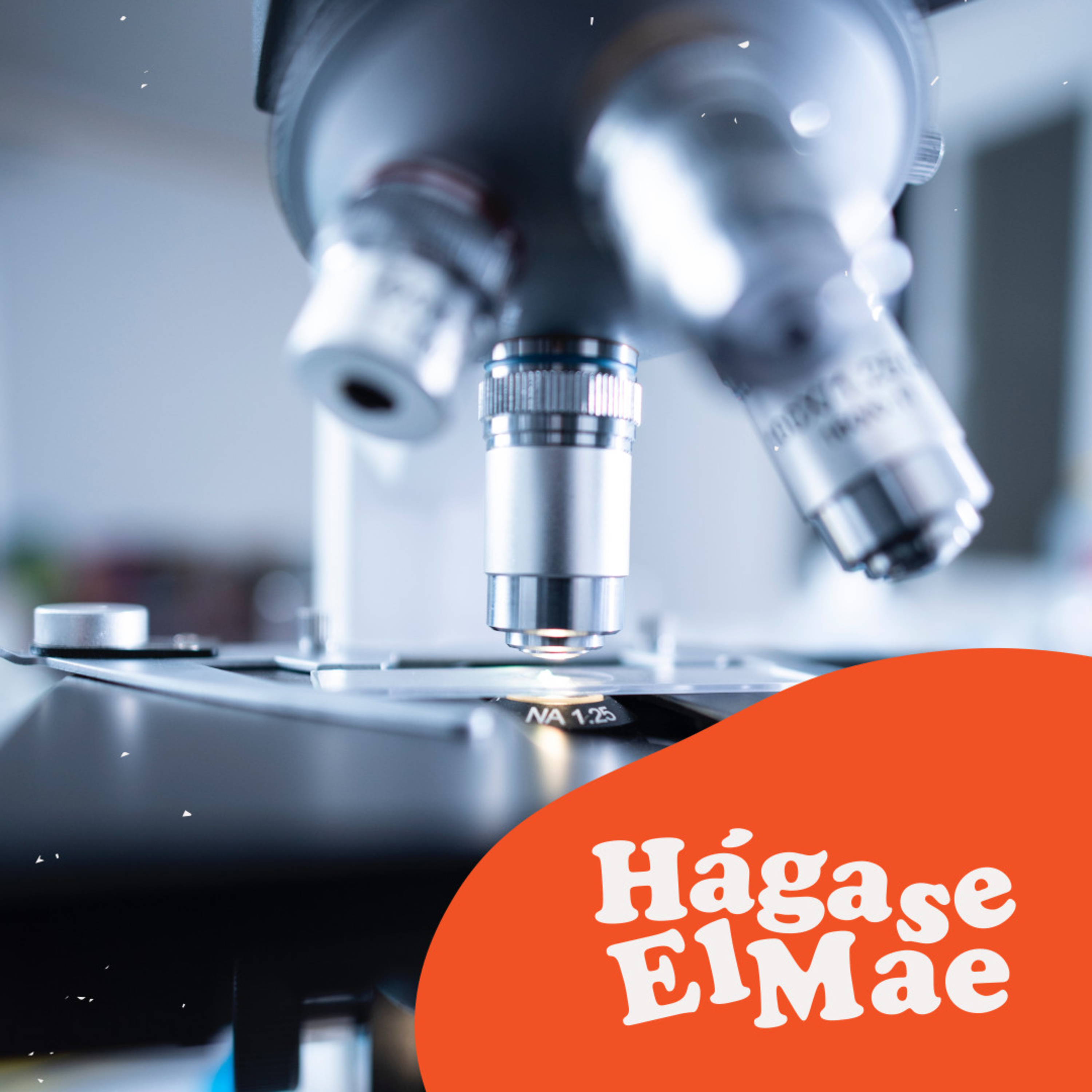 Hágase El Mae