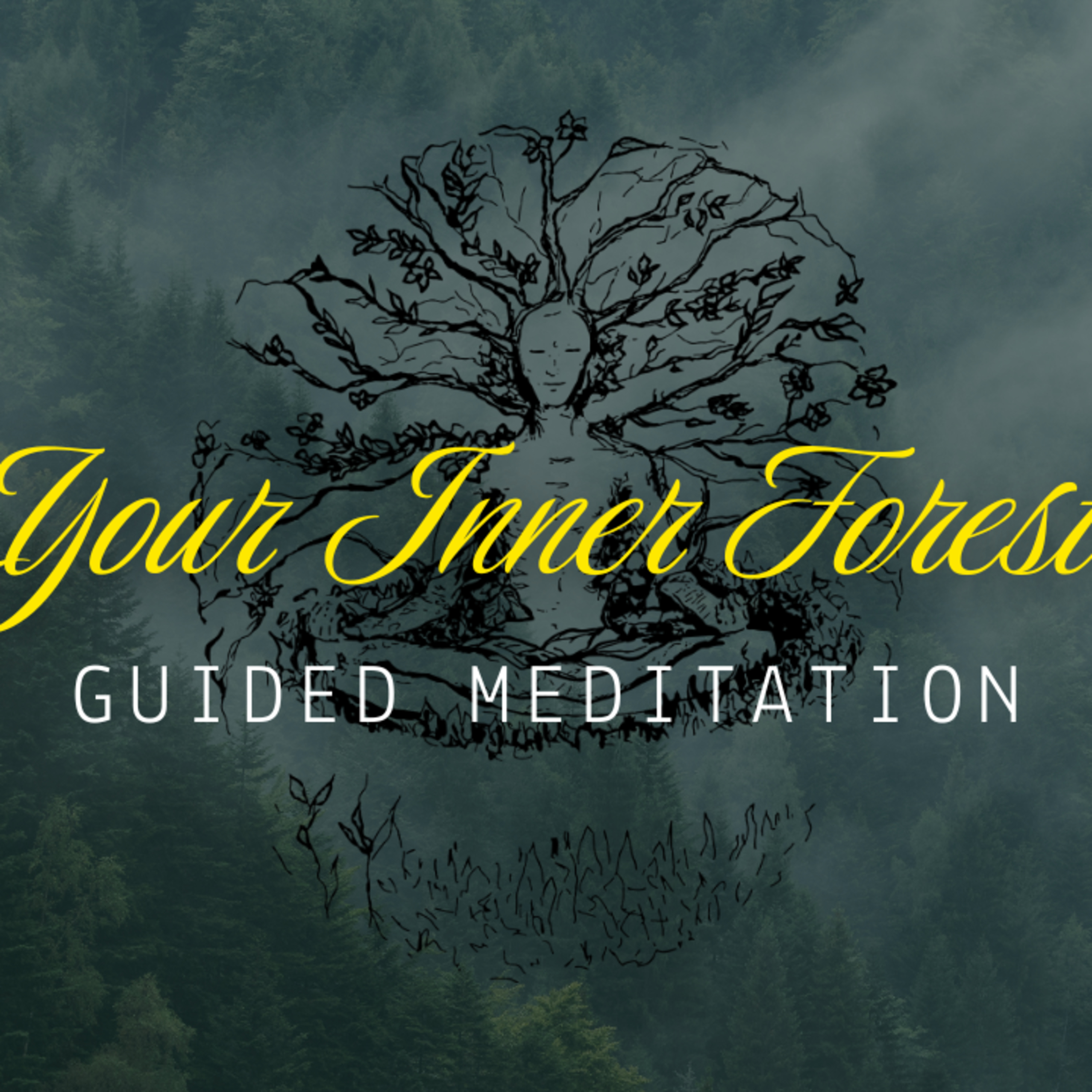 Inner Forest Visualization | 10-Minute Meditation episode artwork