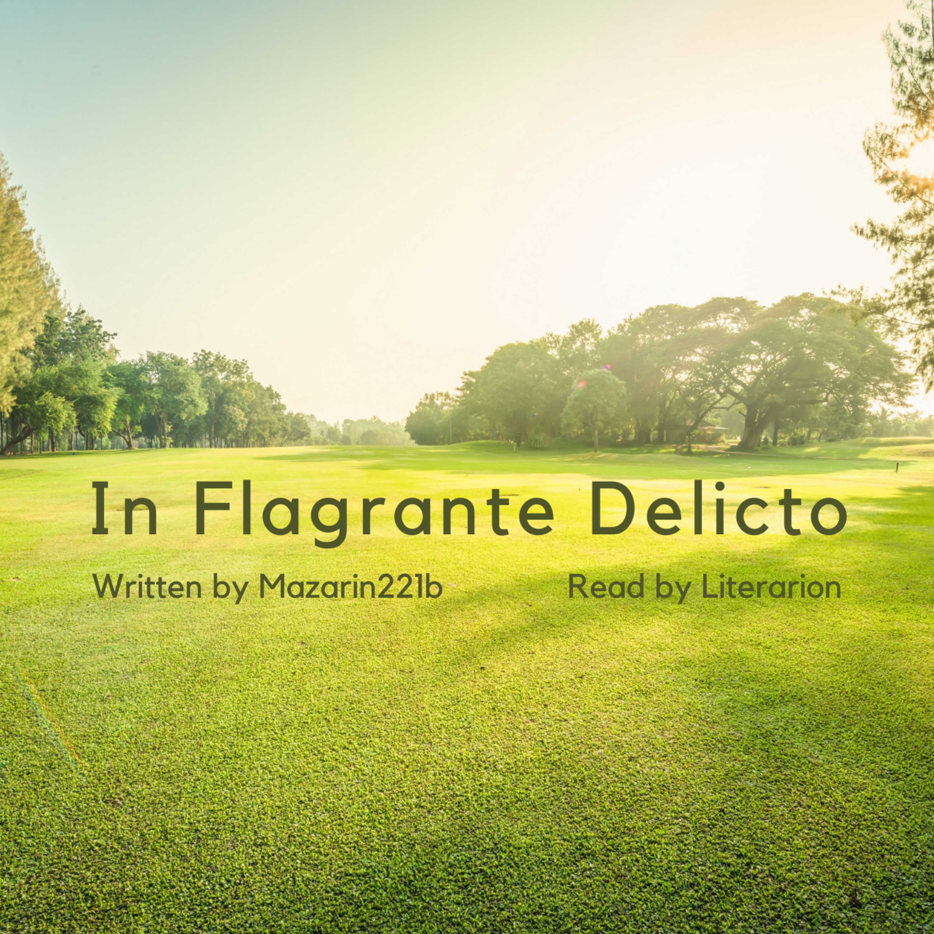 In Flagrante Delicto, Chapter 1