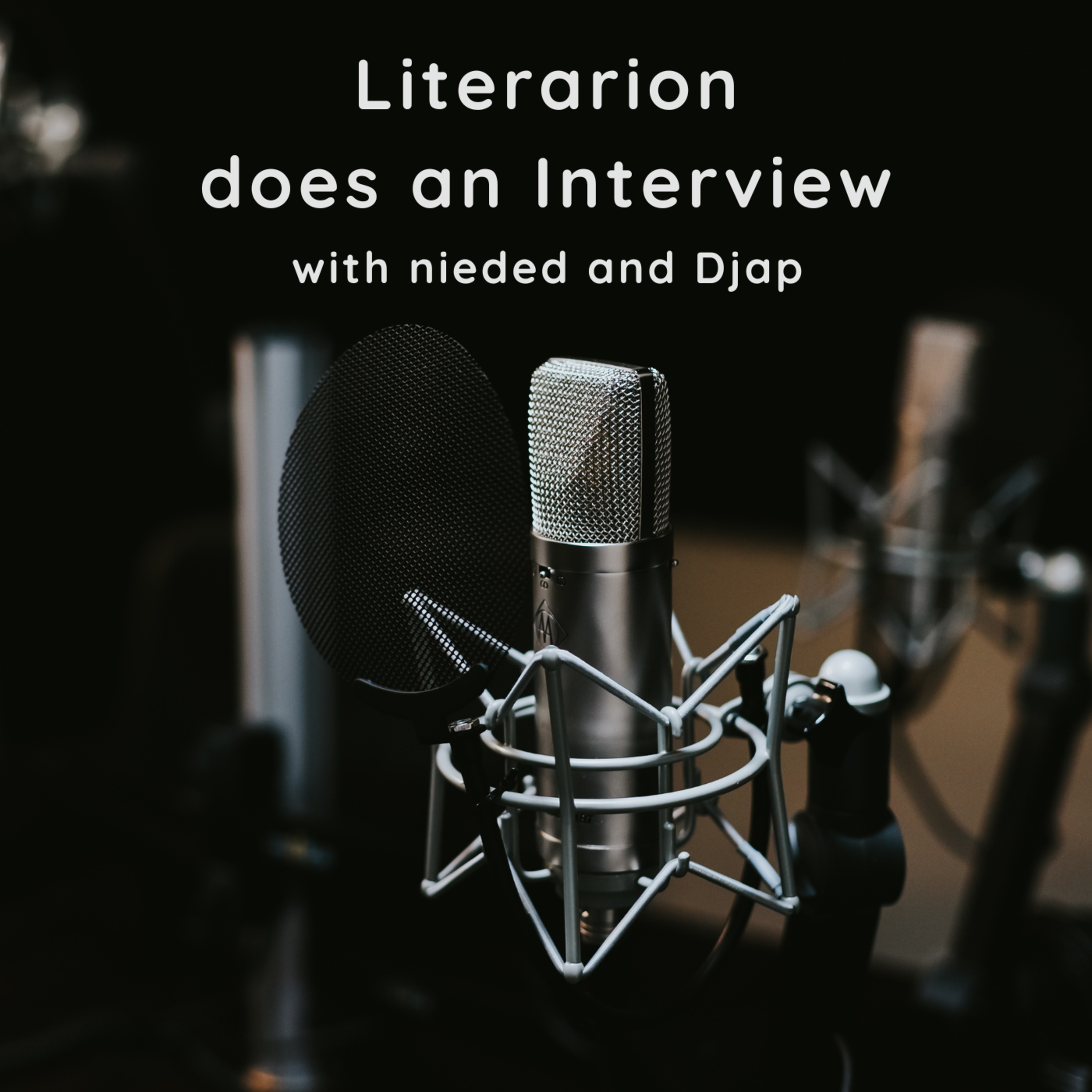 Literarion does an Interview ... with nieded and Djap