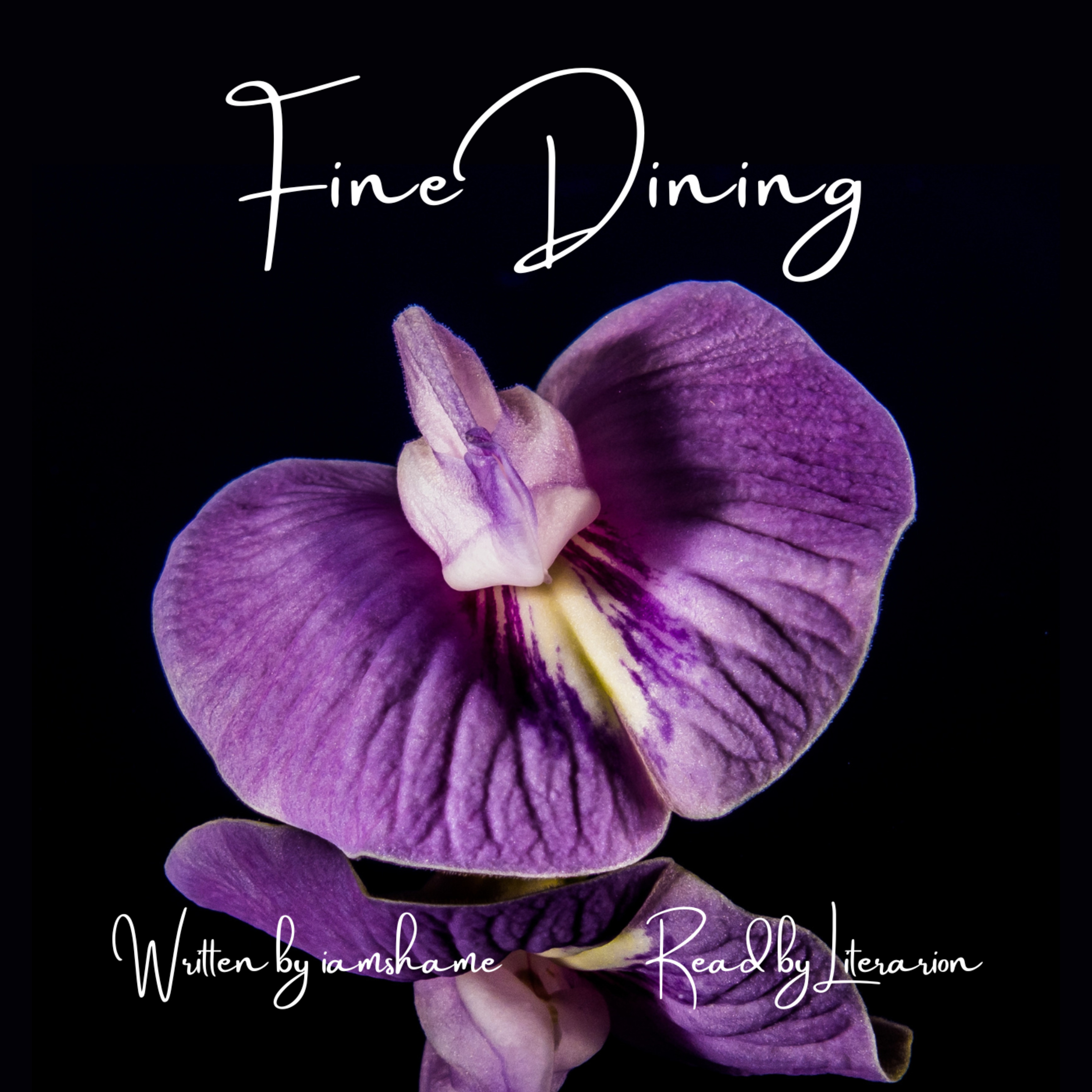 Fine Dining (Complete)