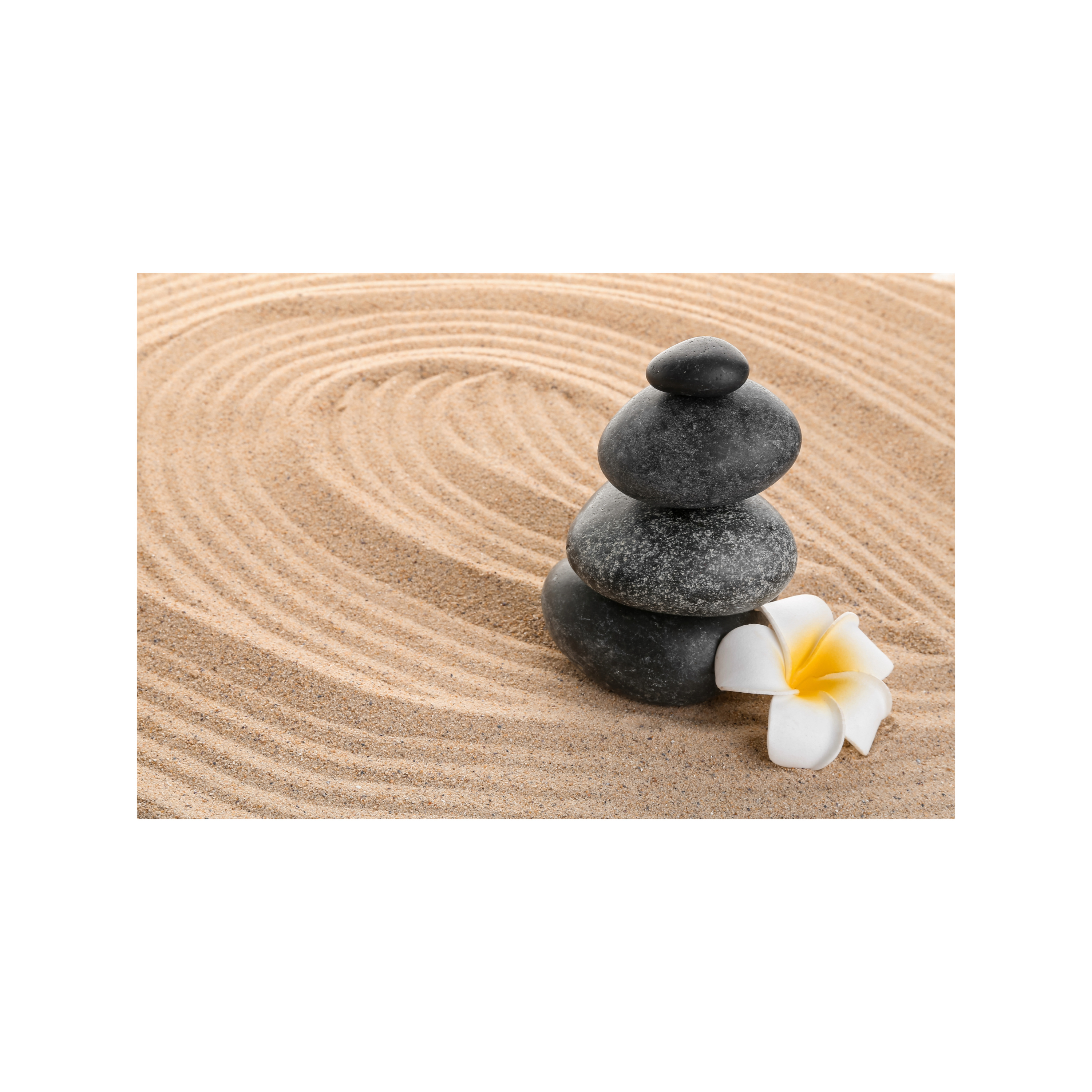 Navigating Mental Wellness