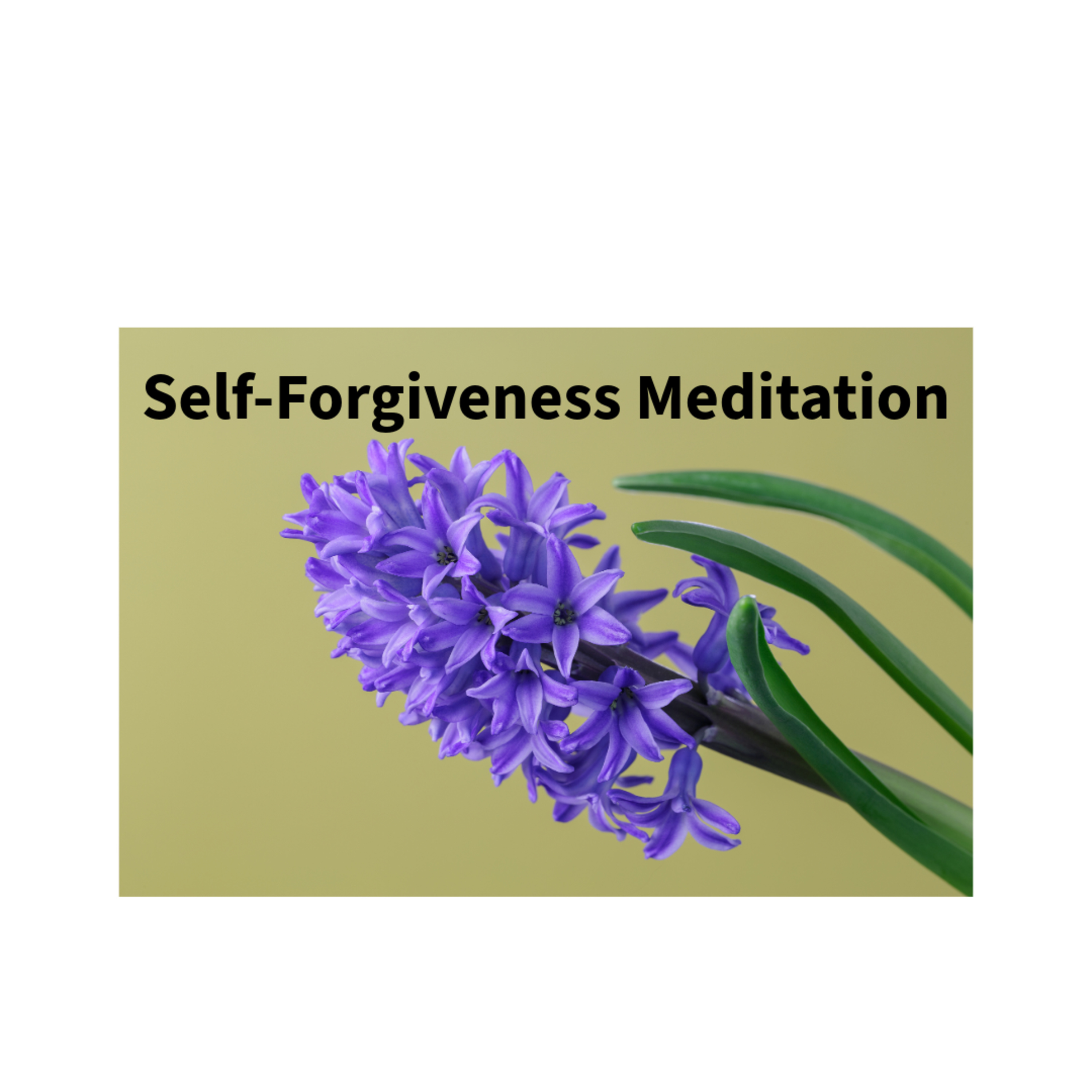 Navigating Mental Wellness