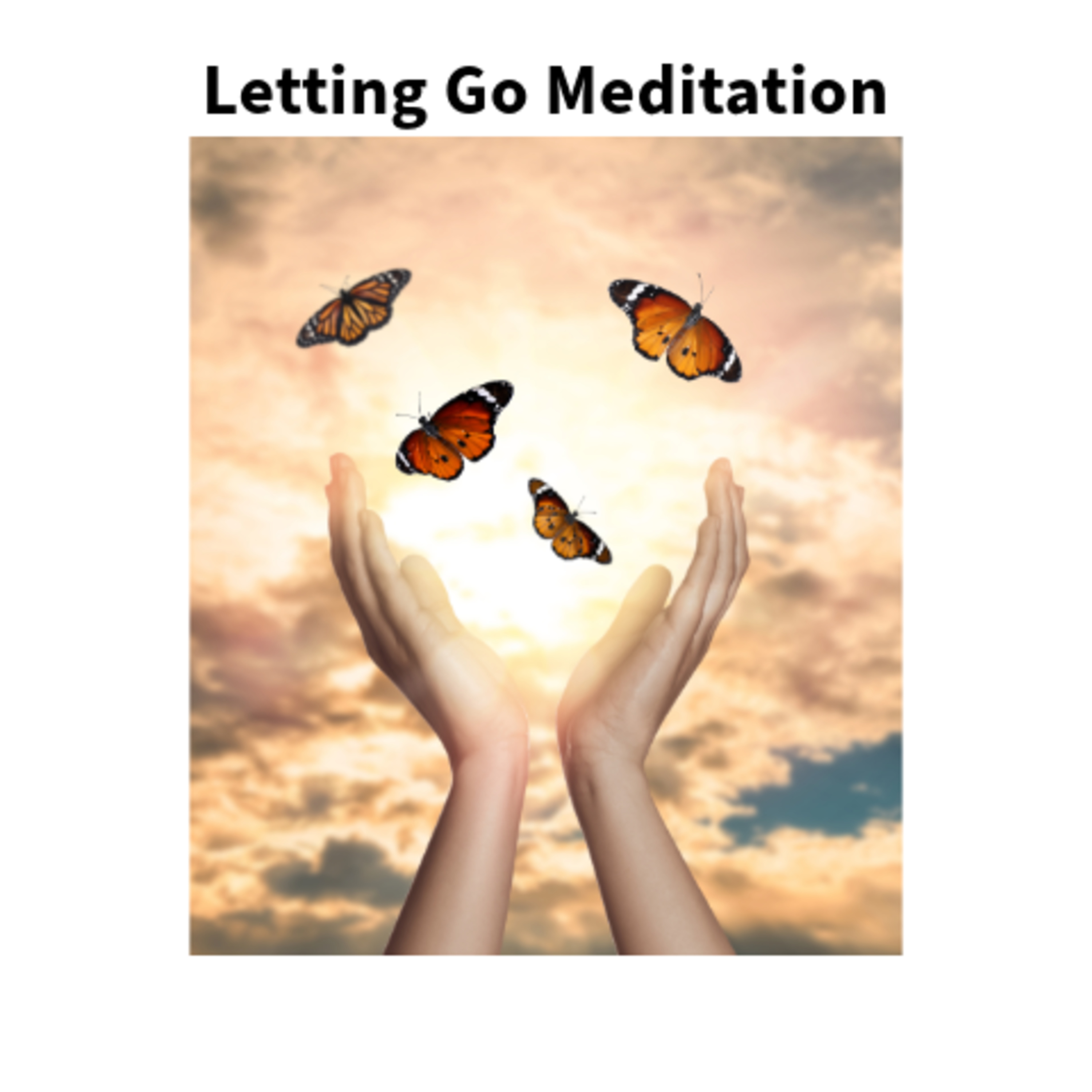 Navigating Mental Wellness