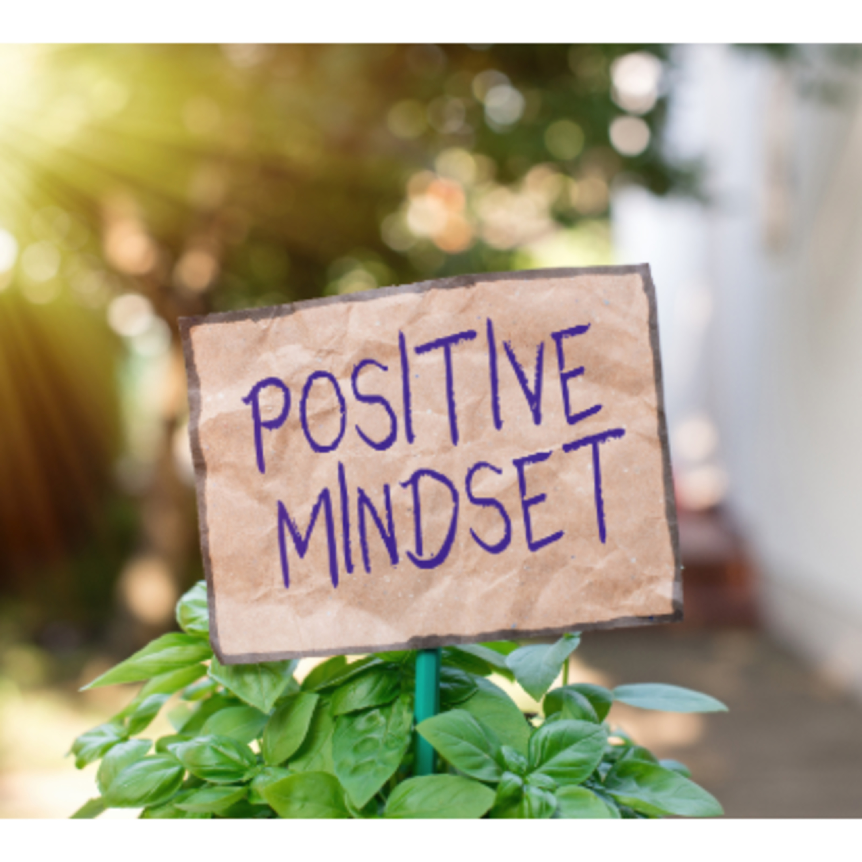 Navigating Mental Wellness