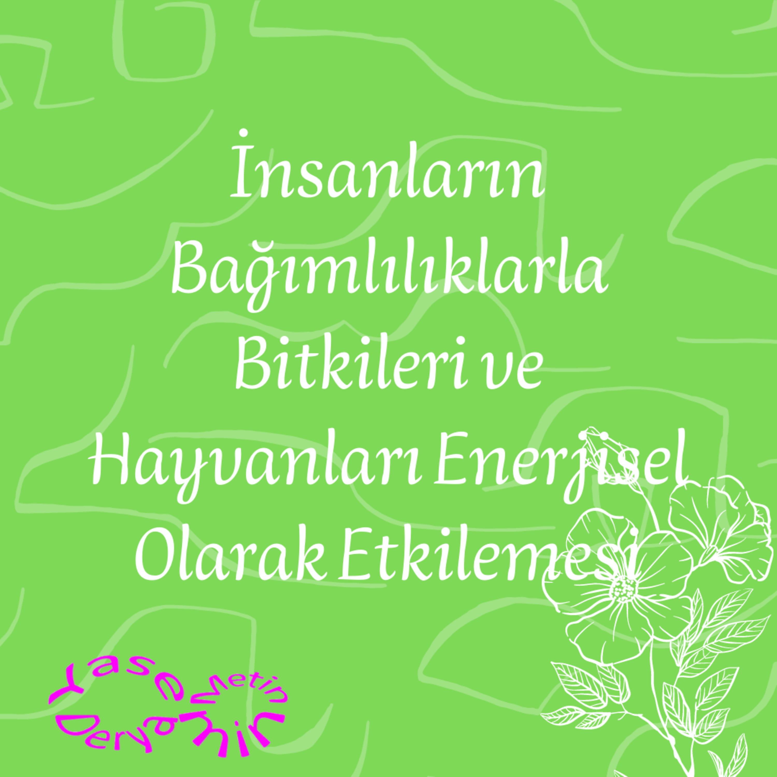 İnsanların Bağımlılıklarla Bitkileri ve Hayvanları Enerjisel Olarak Etkilemesi episode artwork