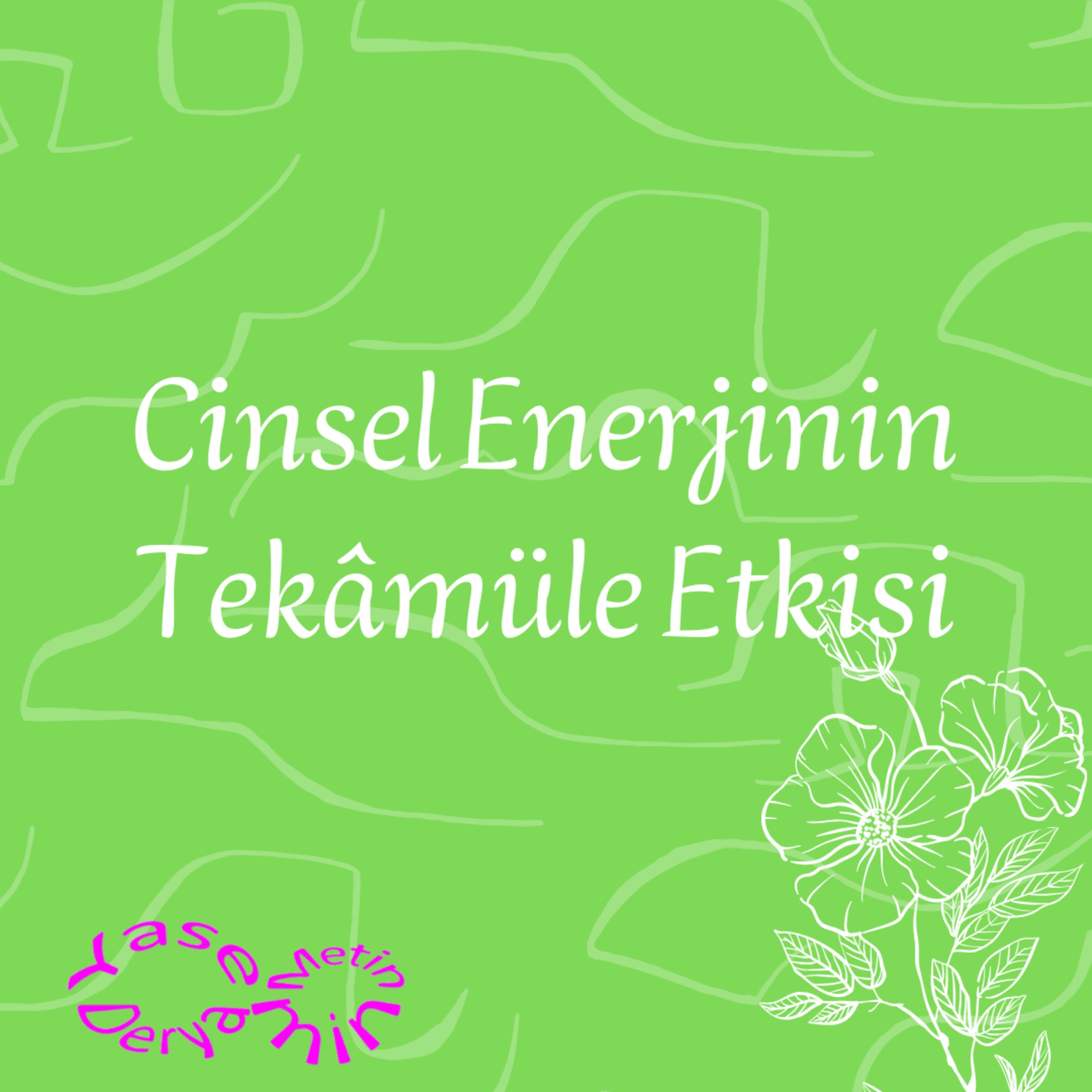 Cinsel Enerjinin Tekâmüle Etkisi episode artwork
