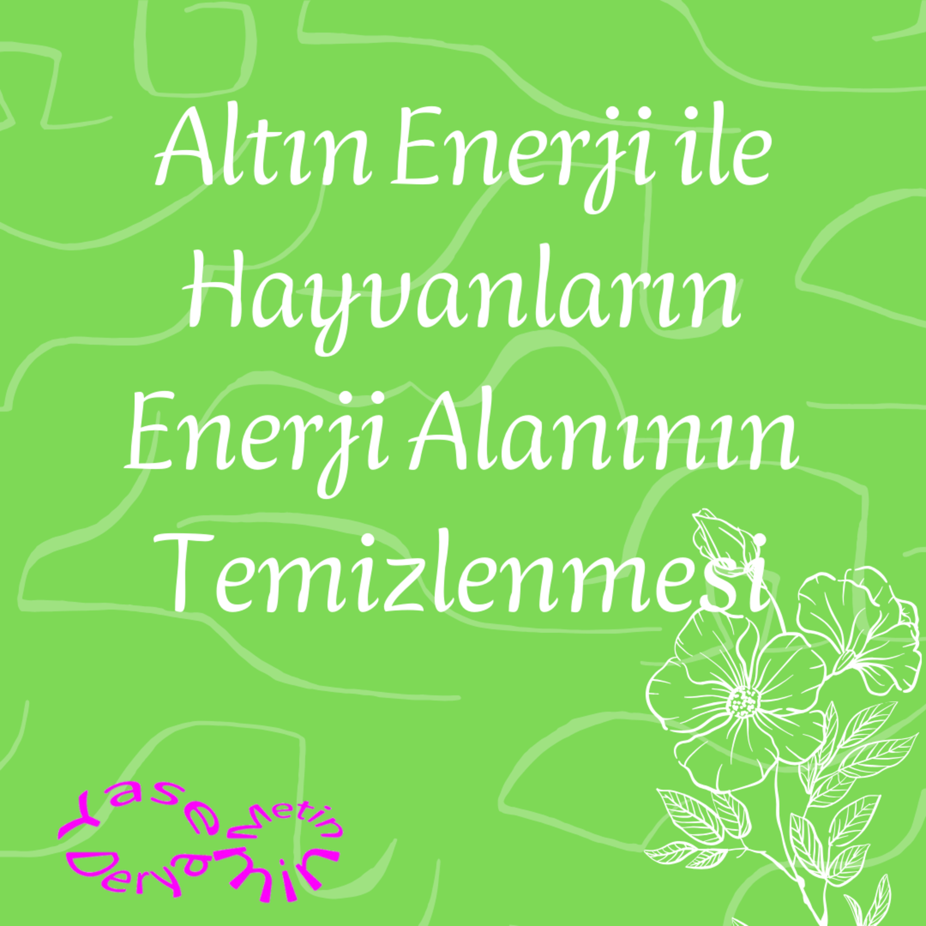 Altın Enerji ile Hayvanların Enerji Alanının Temizlenmesi episode artwork