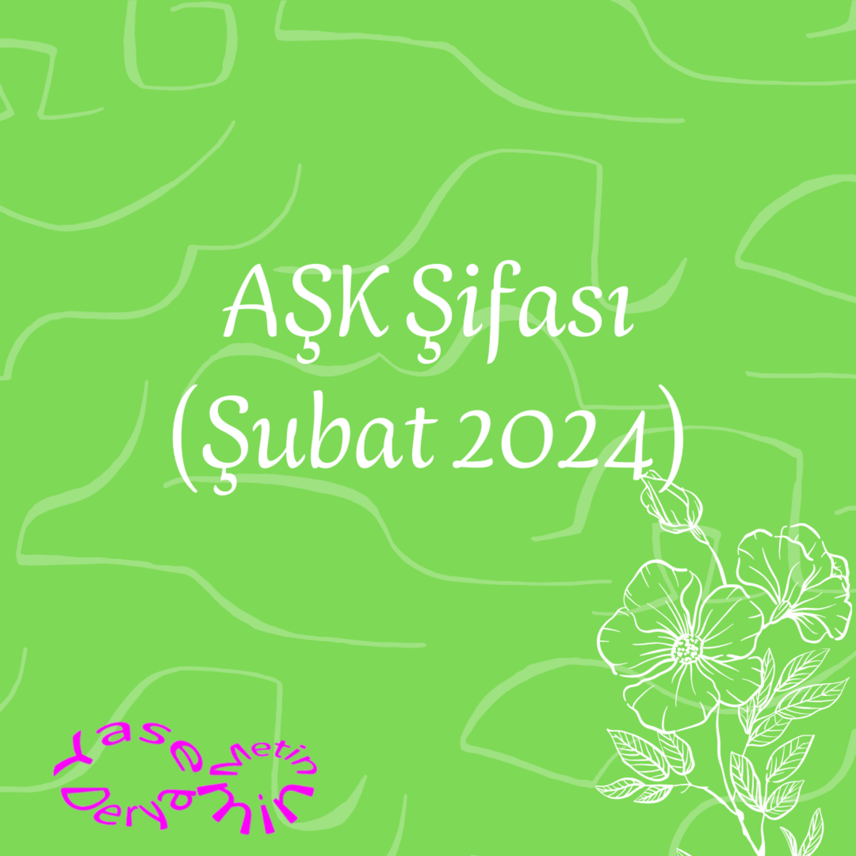 AŞK Şifası (Şubat 2024) episode artwork