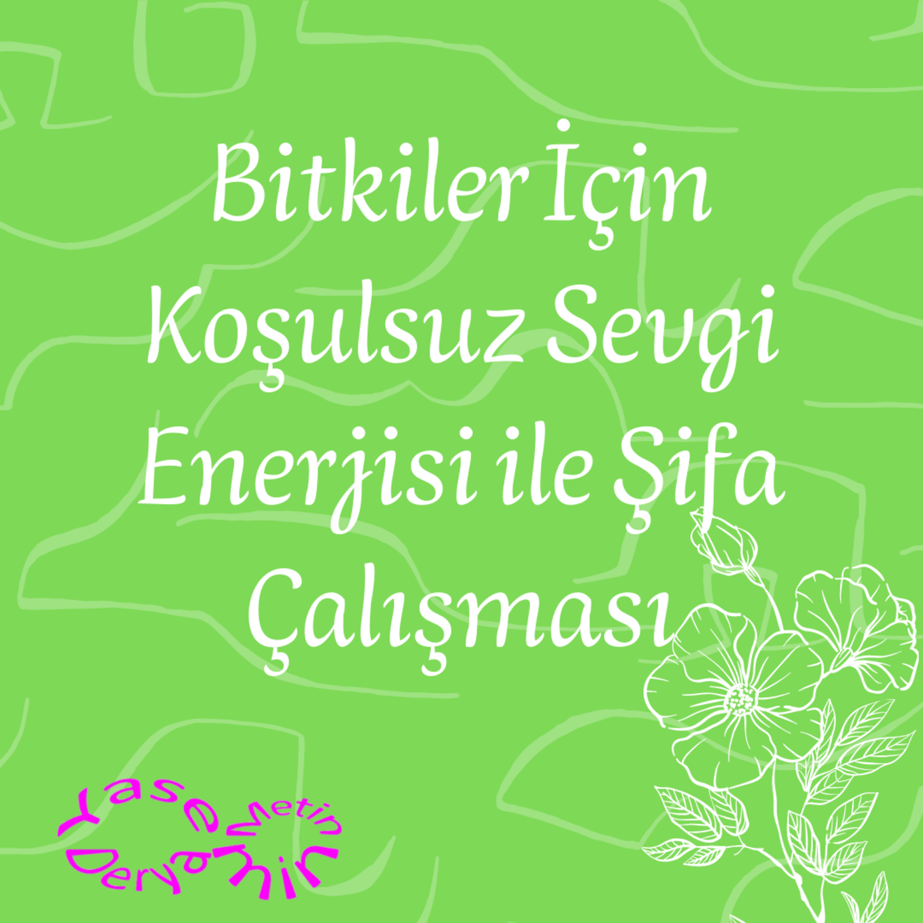 Bitkiler İçin Koşulsuz Sevgi Enerjisi ile Şifa Çalışması episode artwork