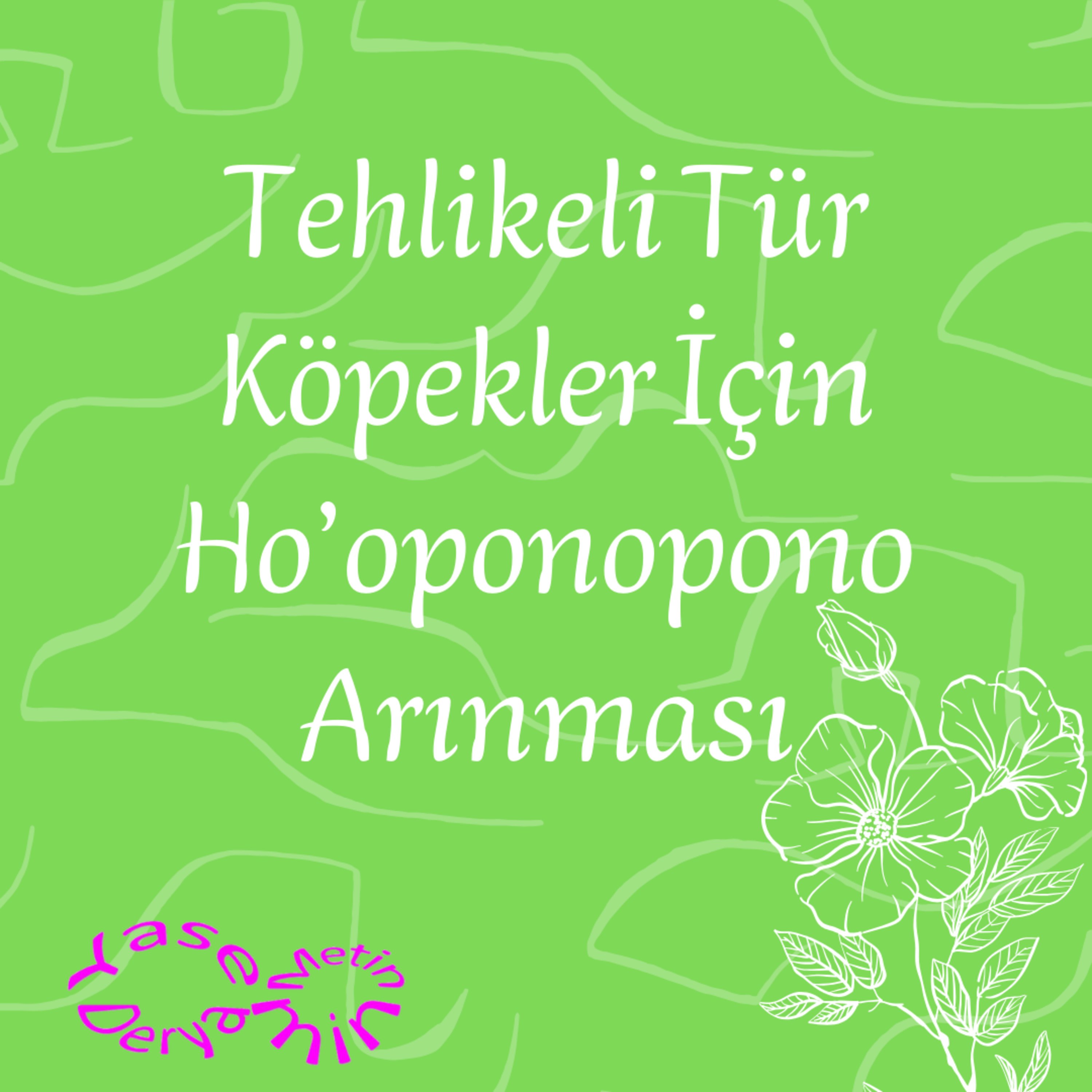 Tehlikeli Tür Köpekler İçin Ho’oponopono Arınması episode artwork