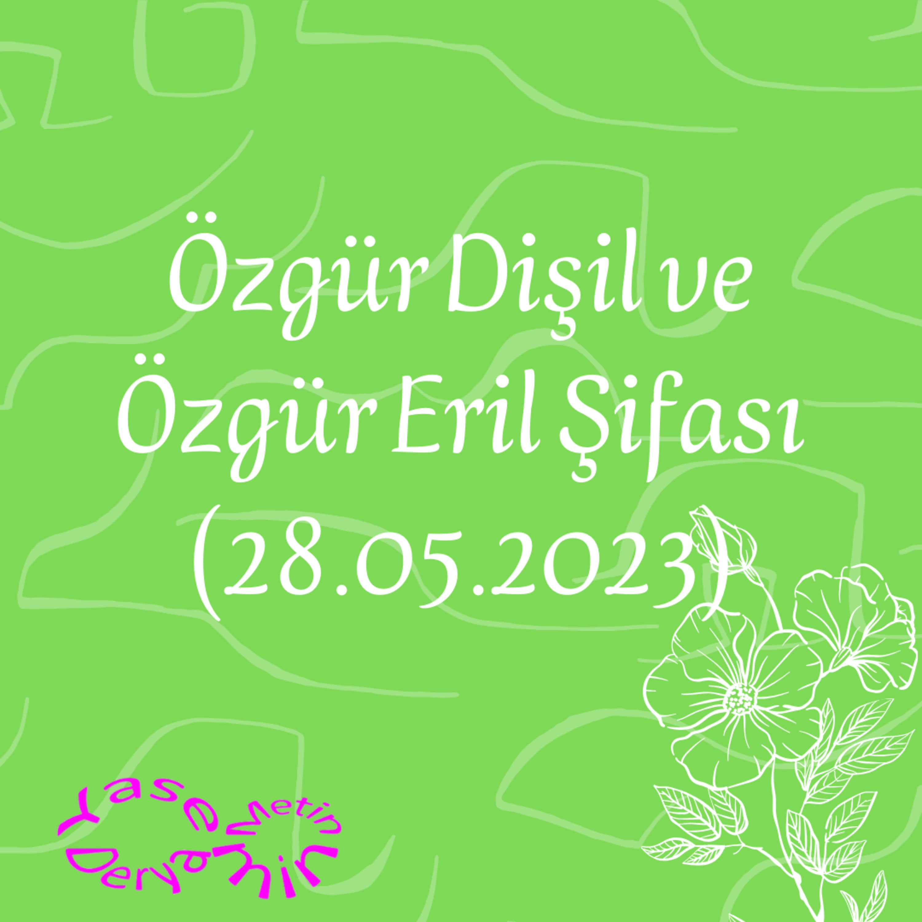 Yasemin Derya Metin