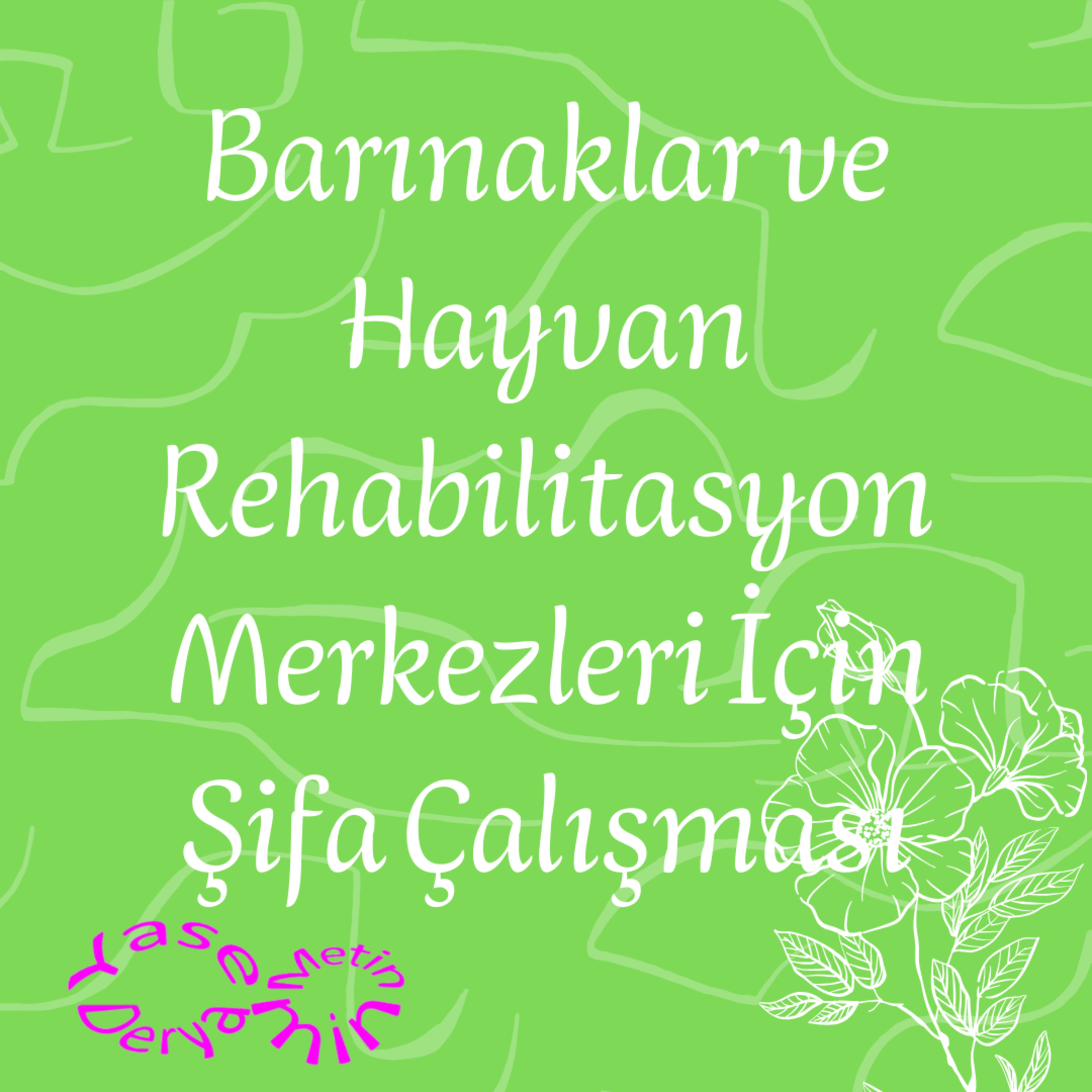 Barınaklar ve Hayvan Rehabilitasyon Merkezleri İçin Şifa Çalışması episode artwork