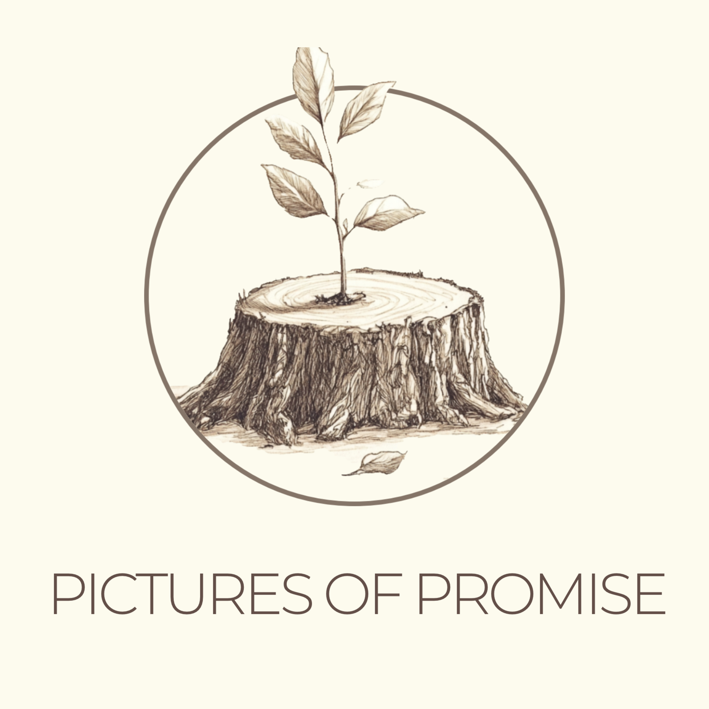 Picture of Promise 5 — Remembering to remember God episode artwork