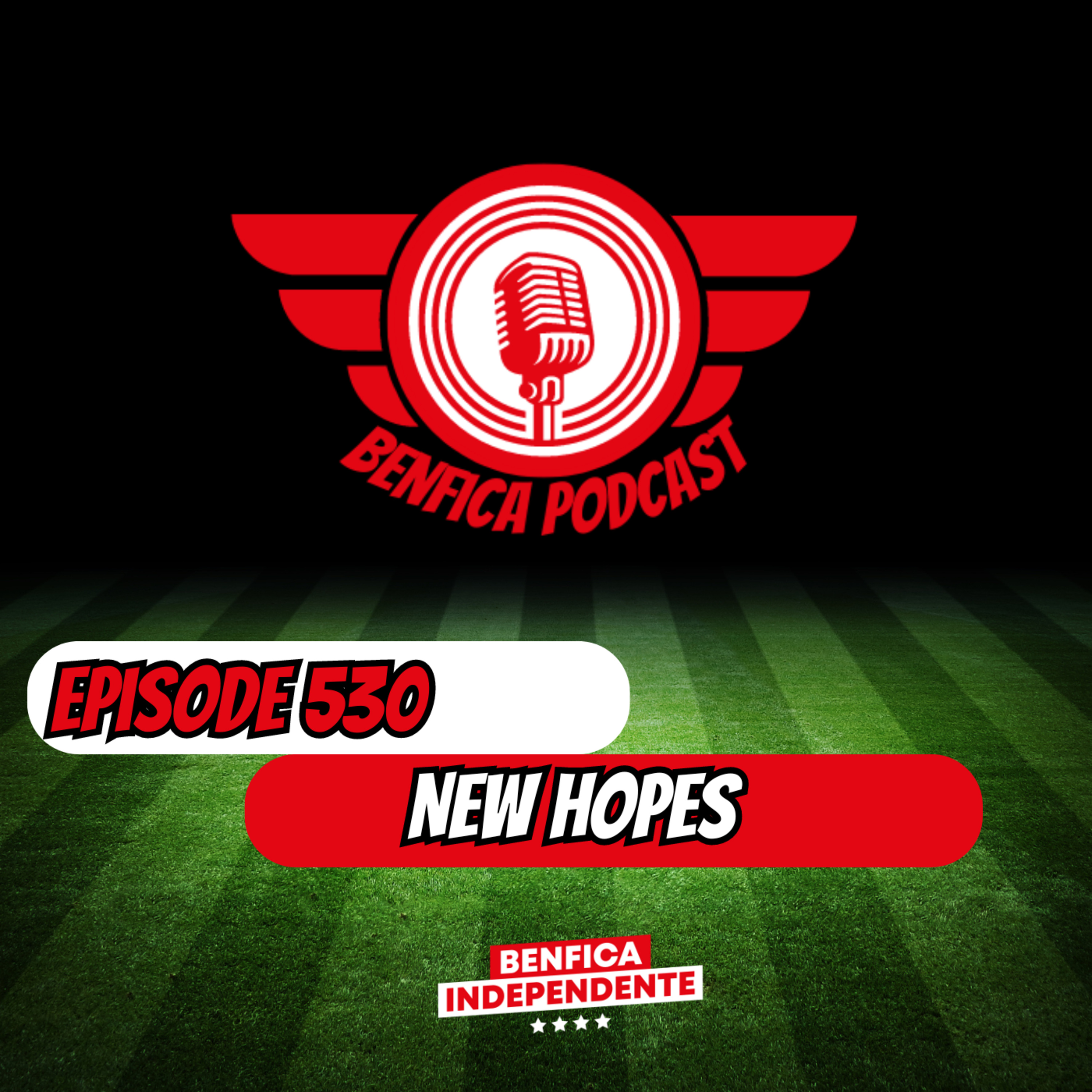 Episode 530 - New Hope episode artwork