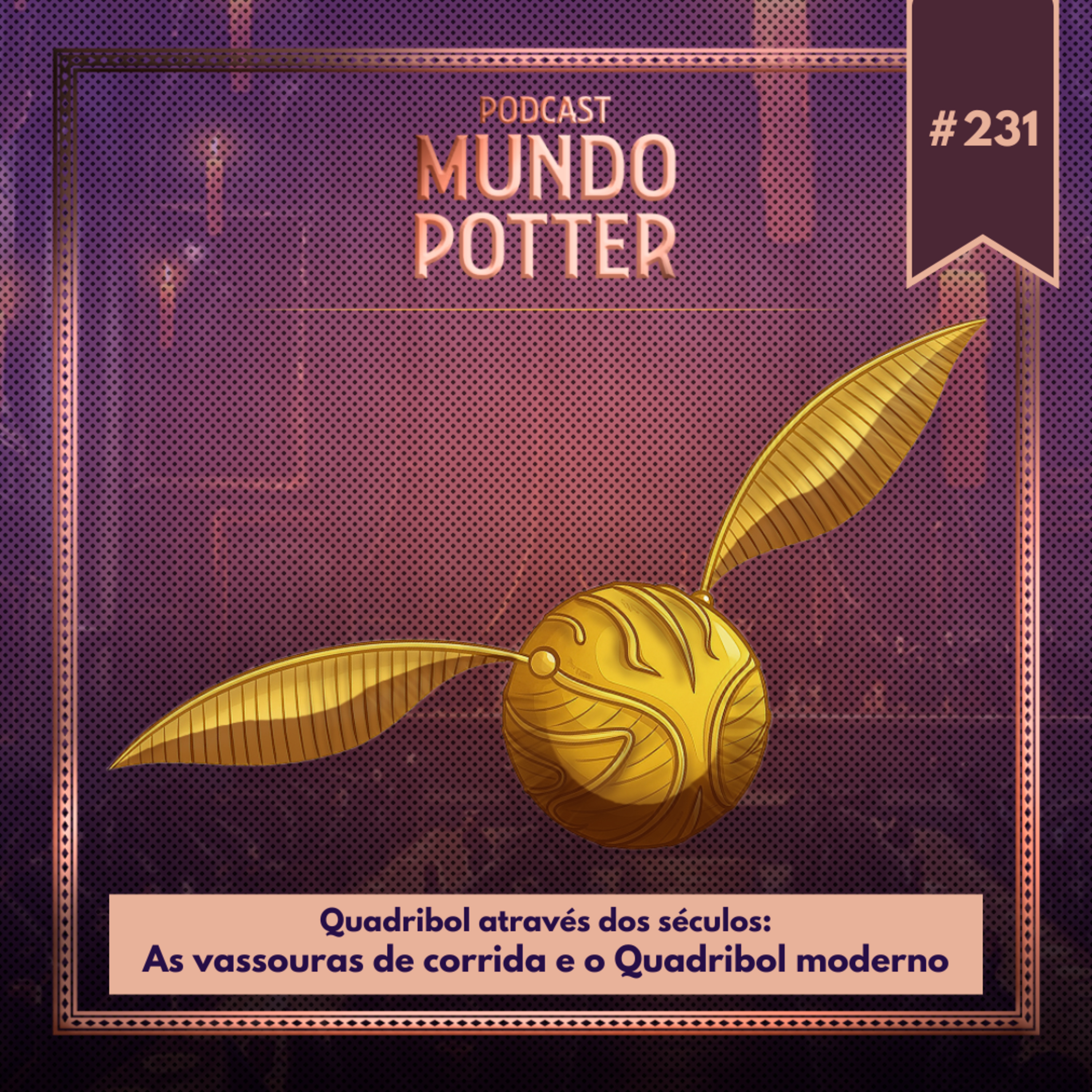 Mundo Potter #231 - Quadribol através dos séculos: As vassouras de corrida e o Quadribol moderno episode artwork