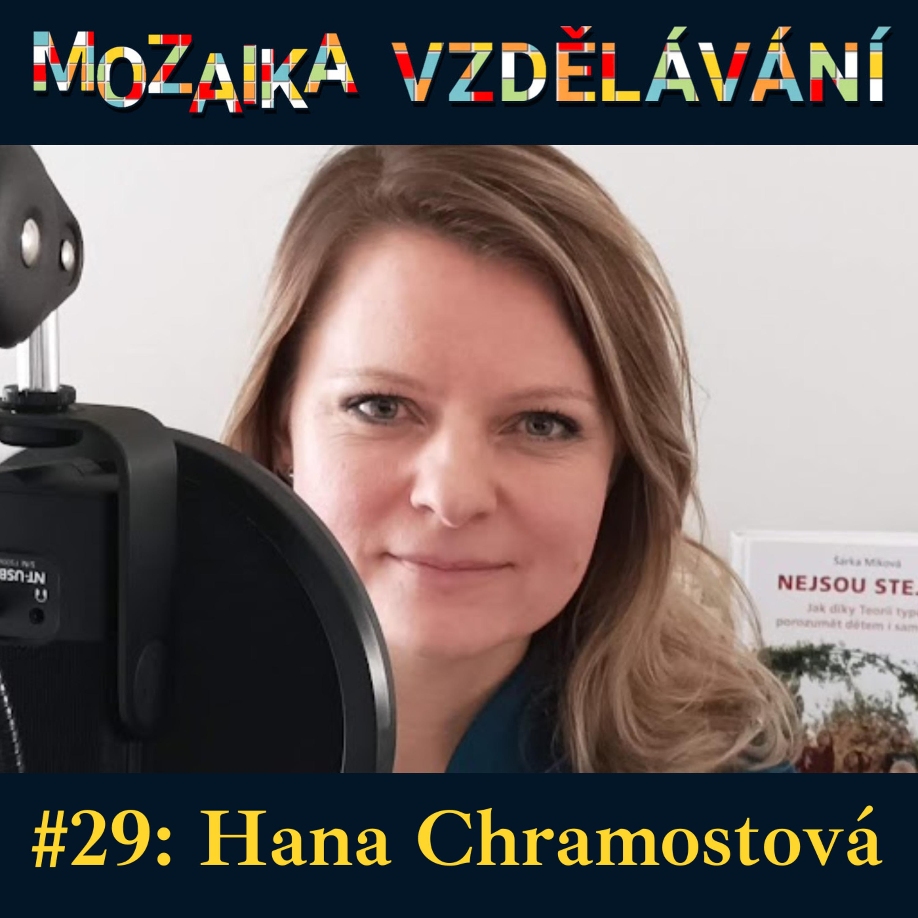 Mozaika vzdělávání