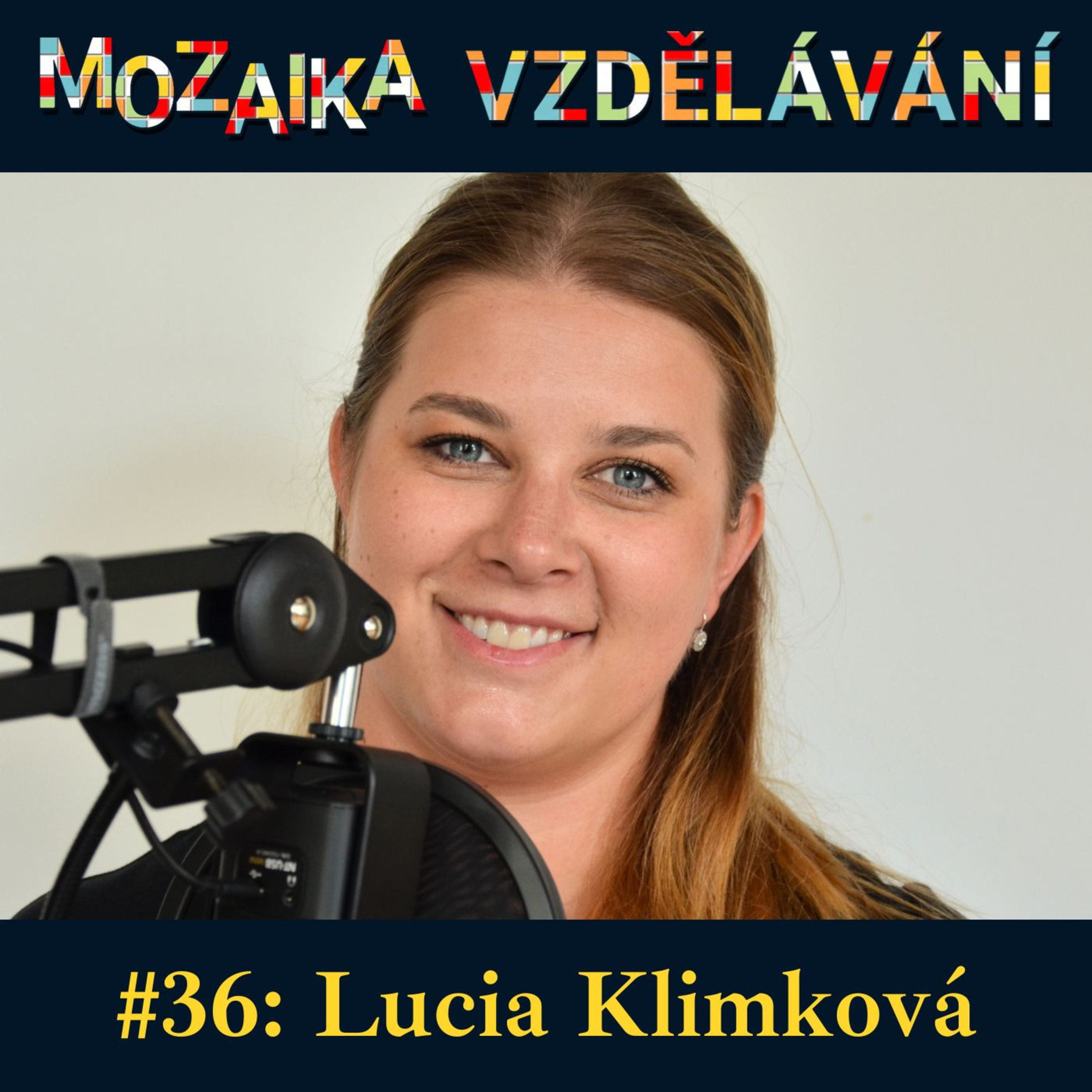 Mozaika vzdělávání