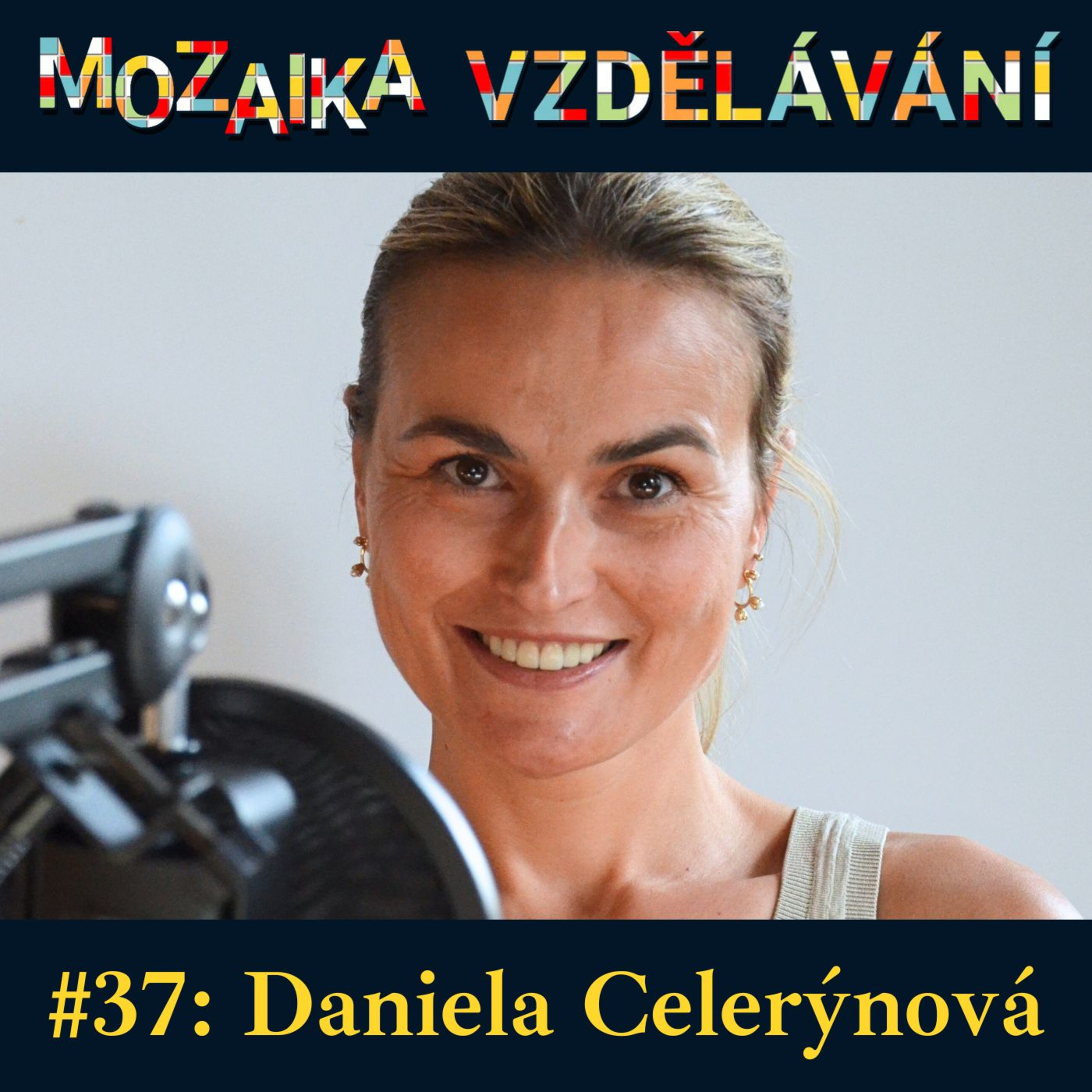 Mozaika vzdělávání