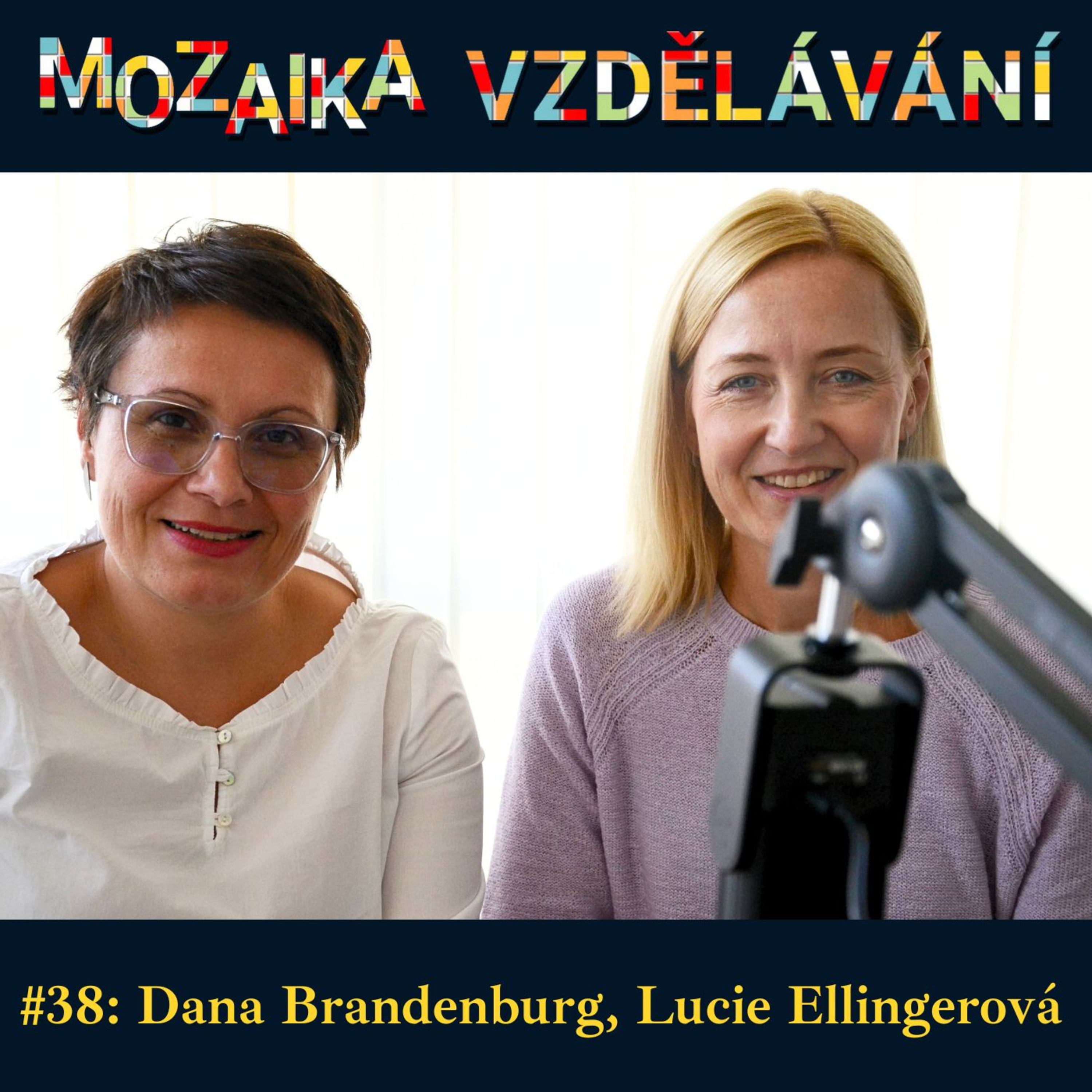 Mozaika vzdělávání