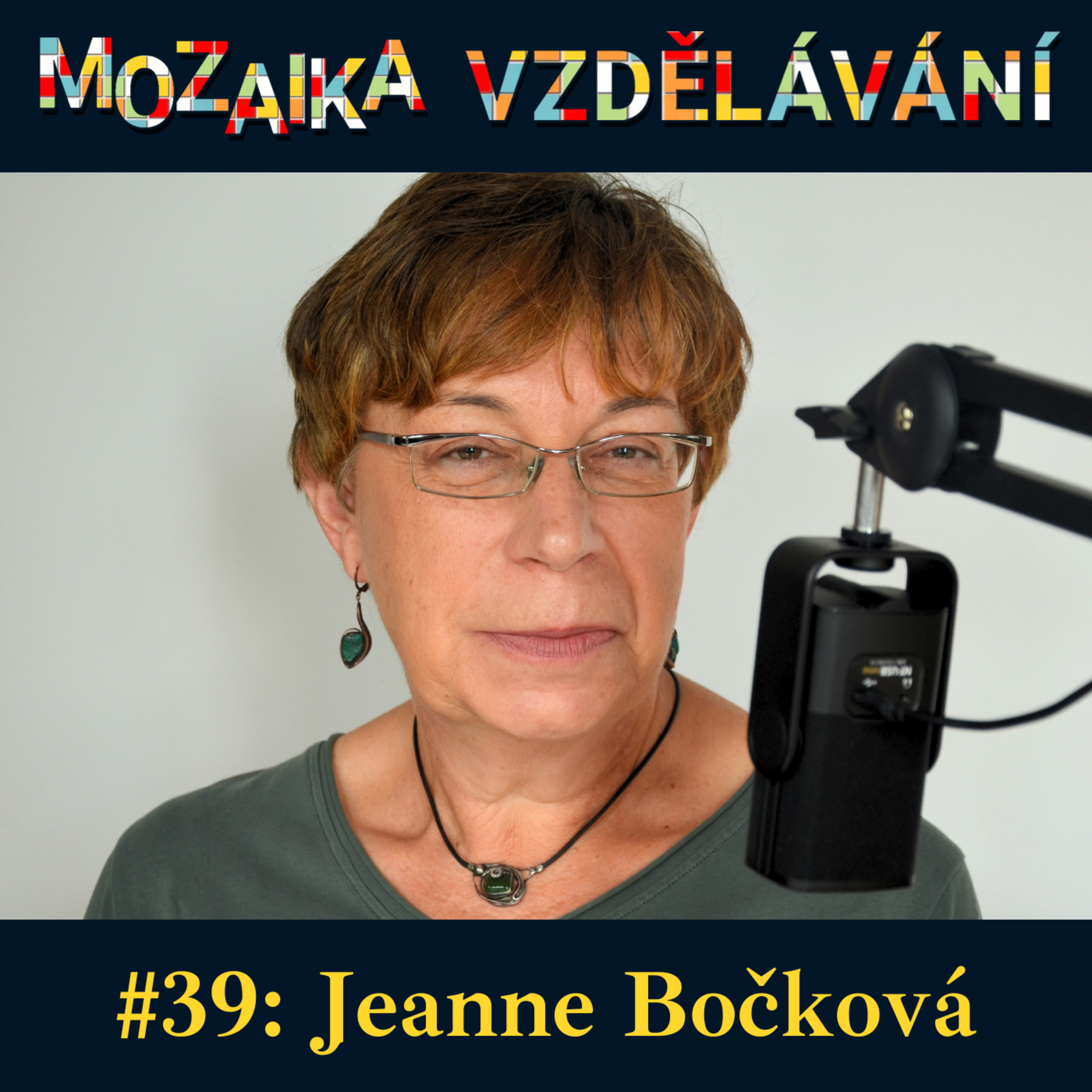 Mozaika vzdělávání