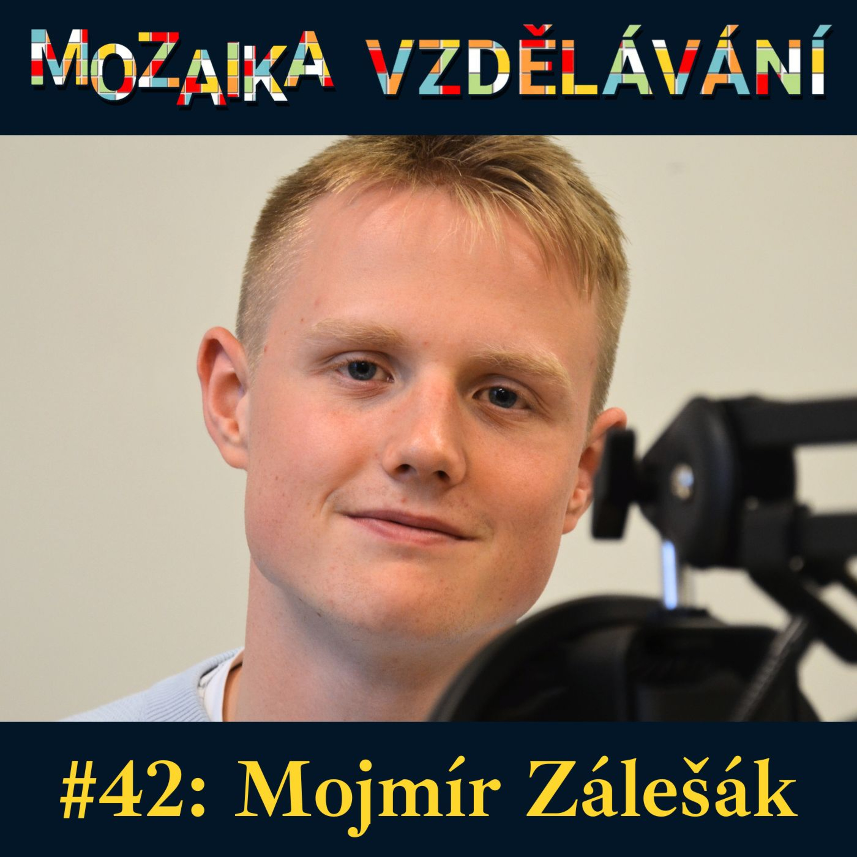 Mozaika vzdělávání