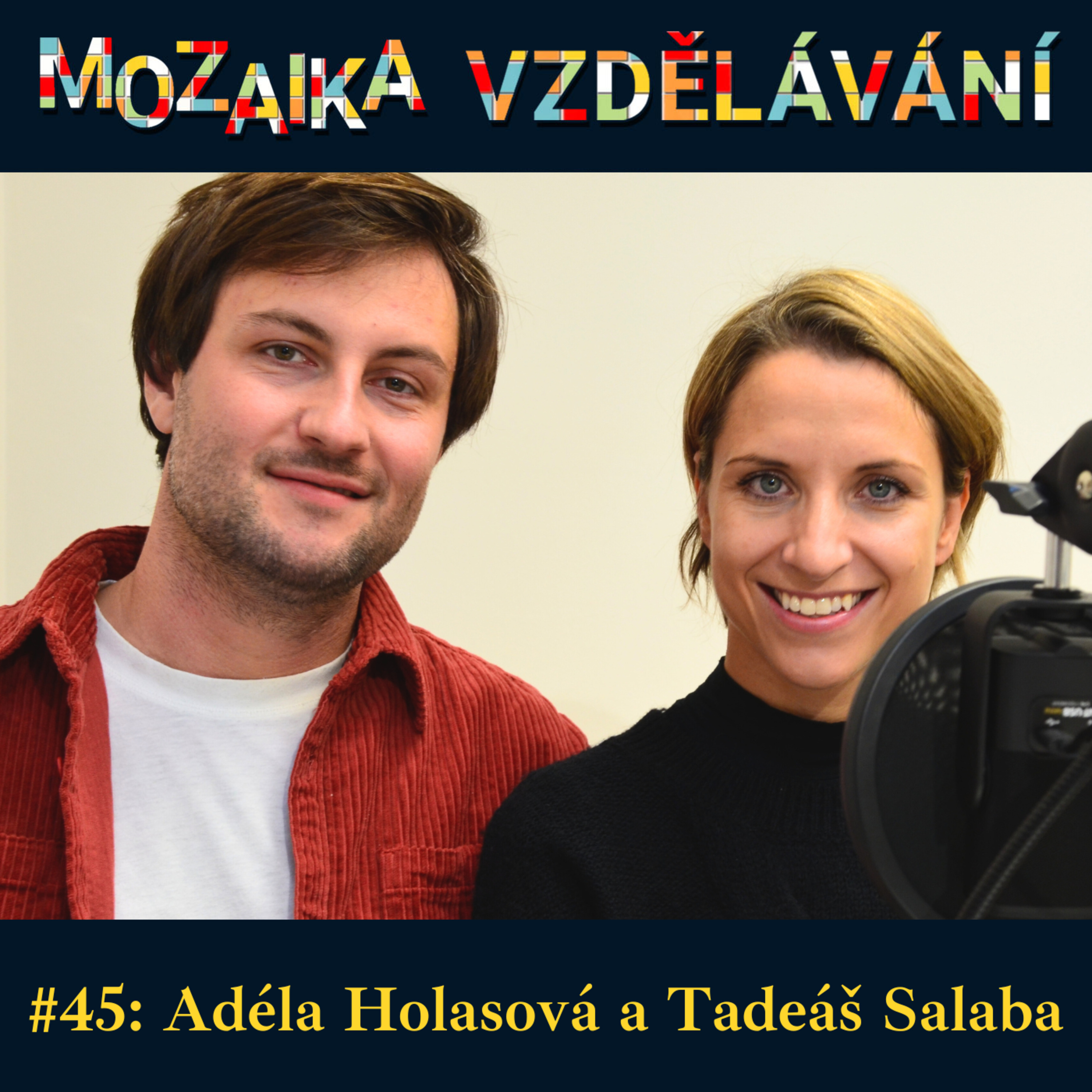 Mozaika vzdělávání