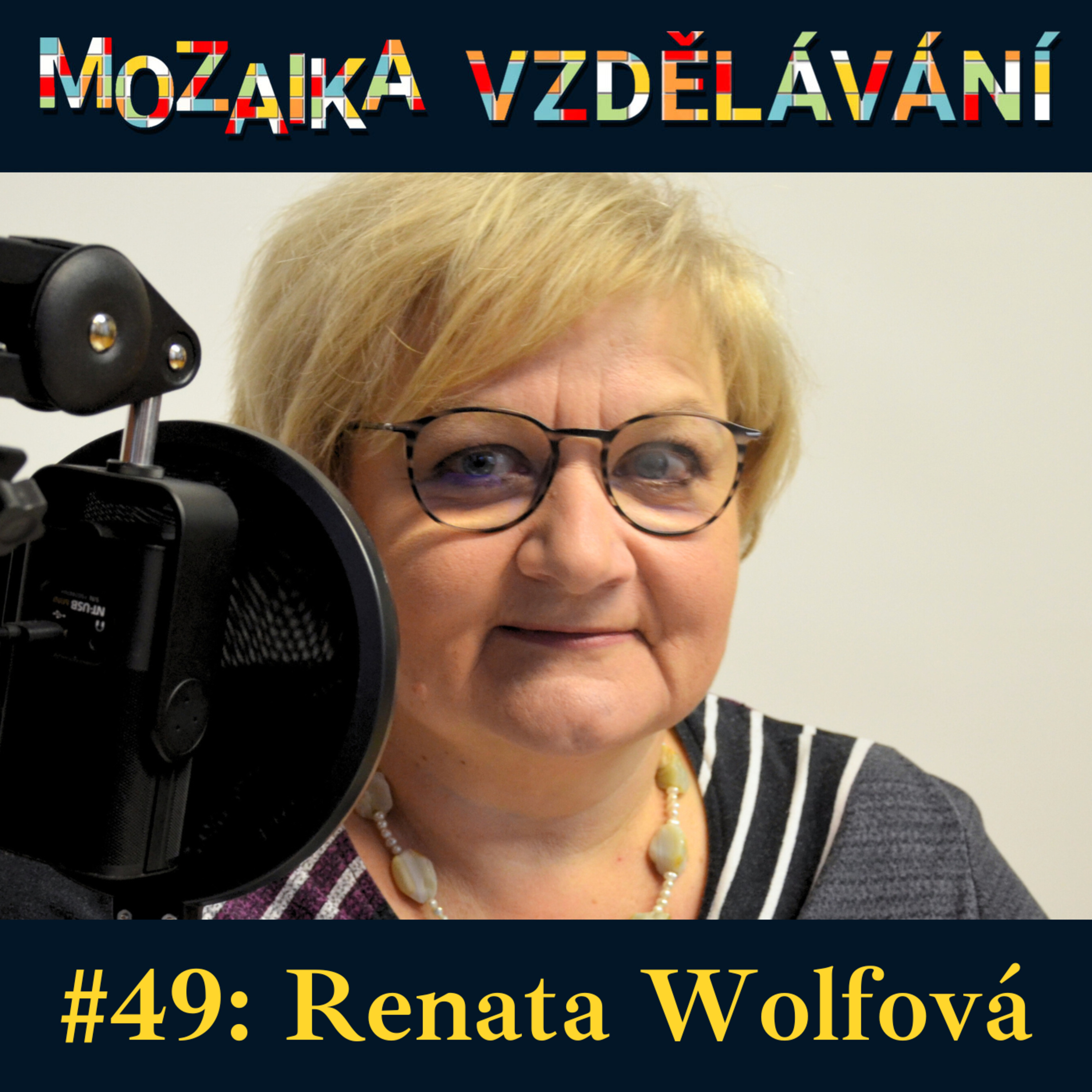 Mozaika vzdělávání
