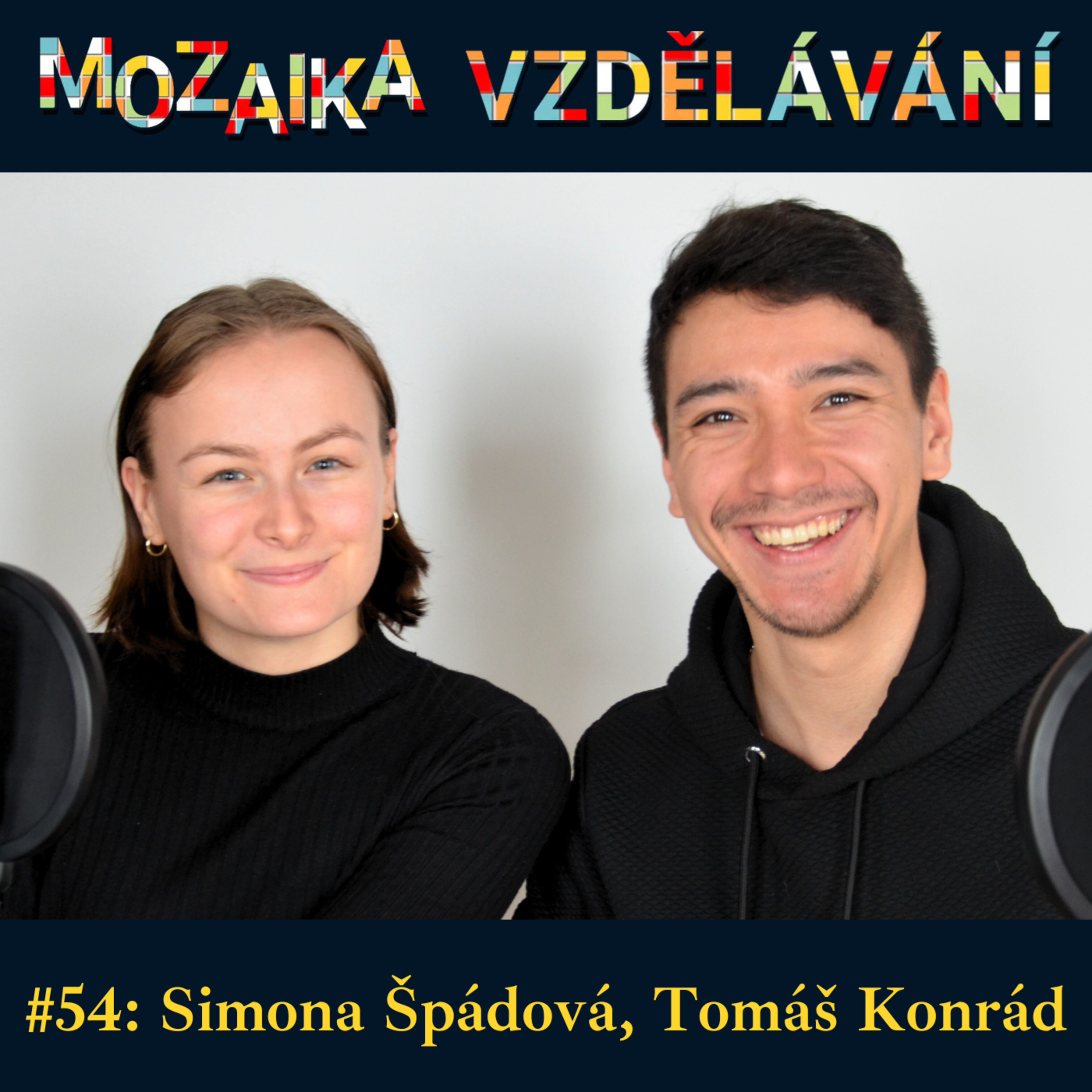 Mozaika vzdělávání