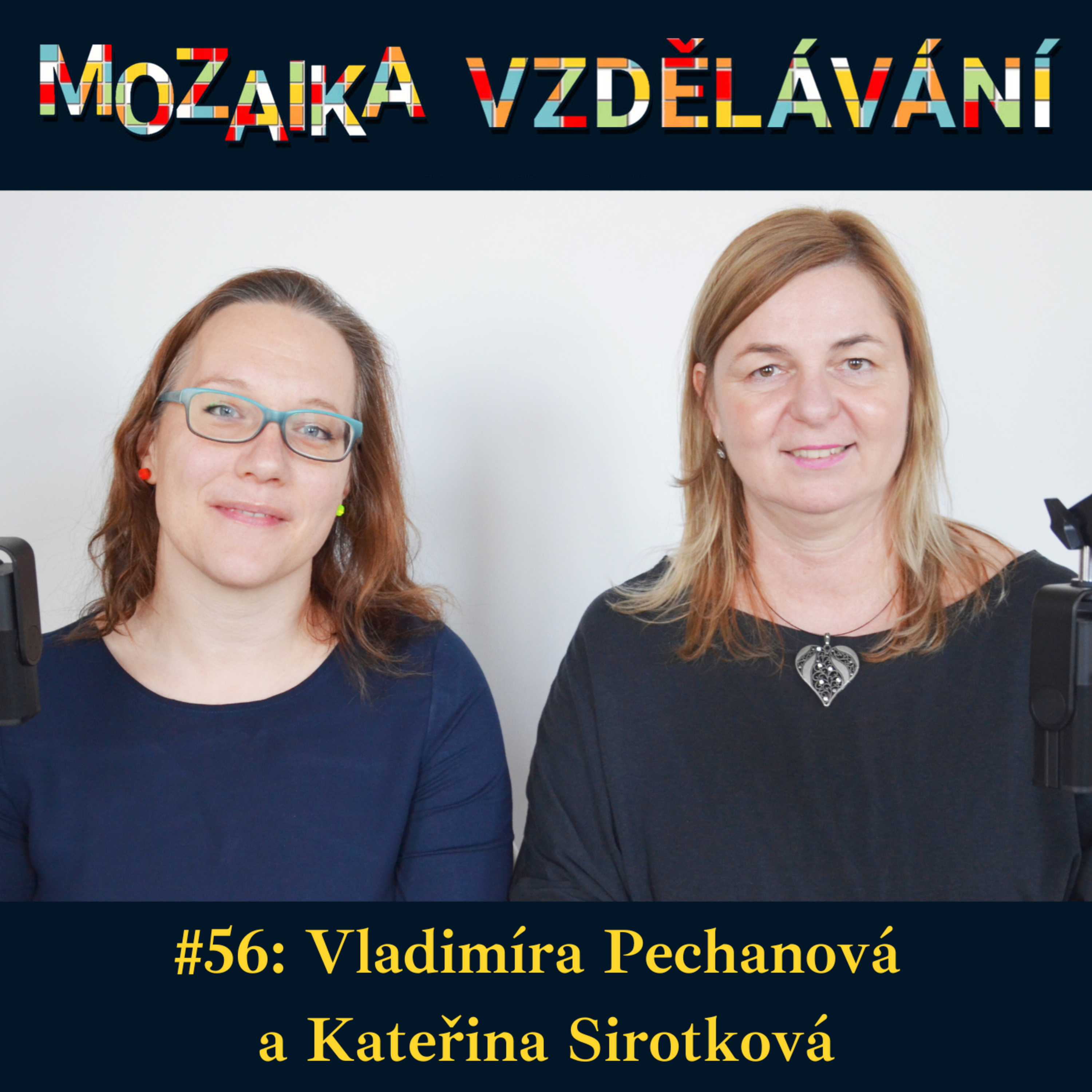 Mozaika vzdělávání