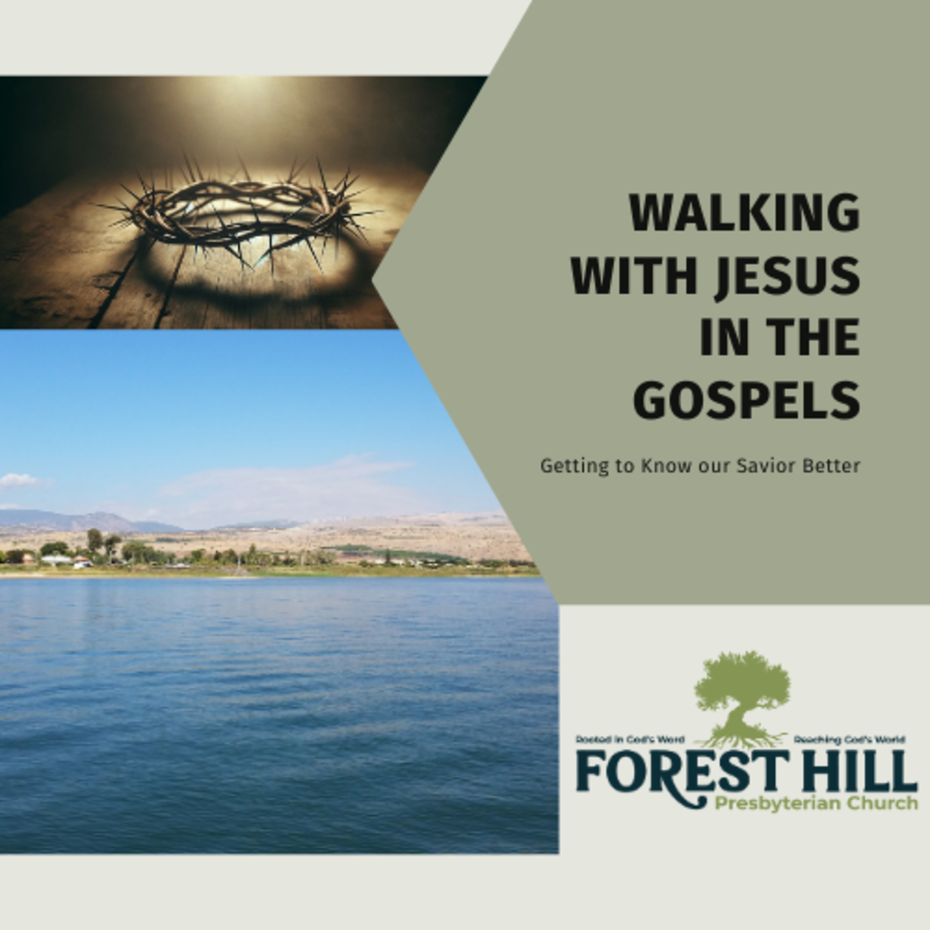 Walking with Jesus Through the Word
