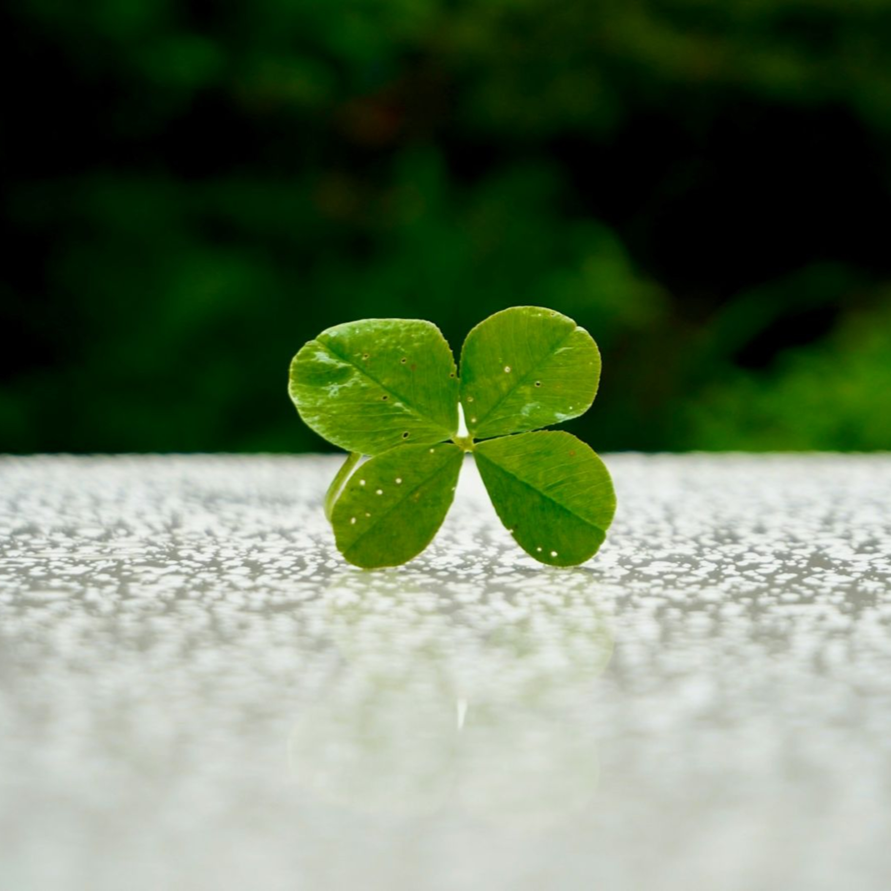 Is it Good Luck? Or Bad Luck? episode artwork