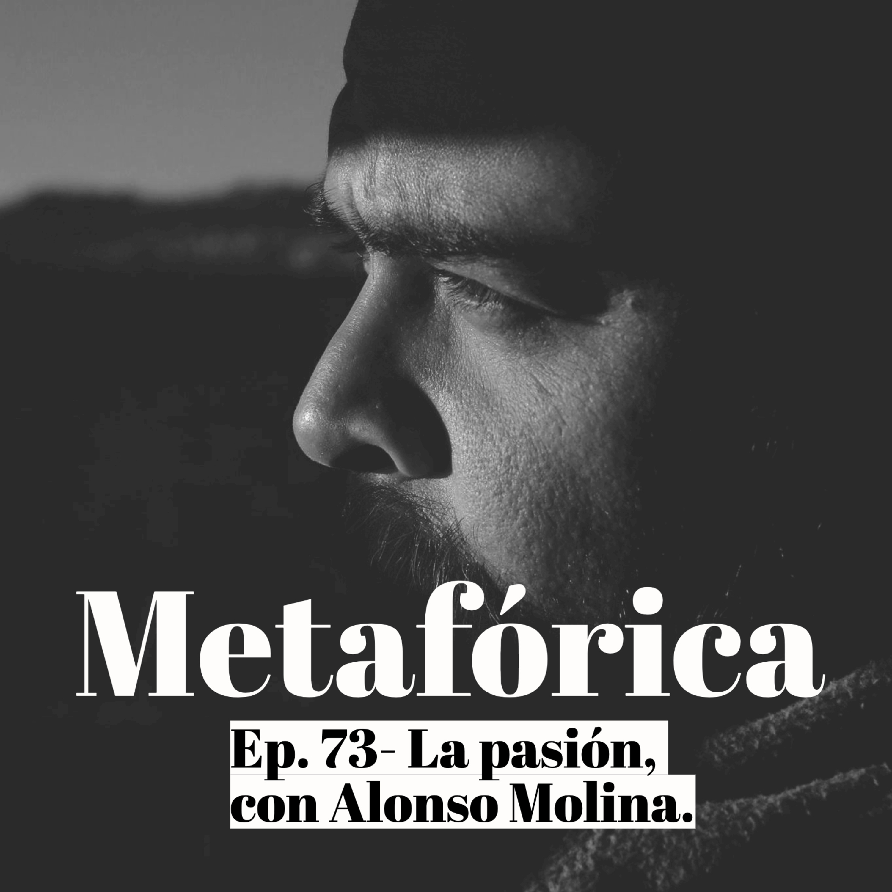 Metaforica