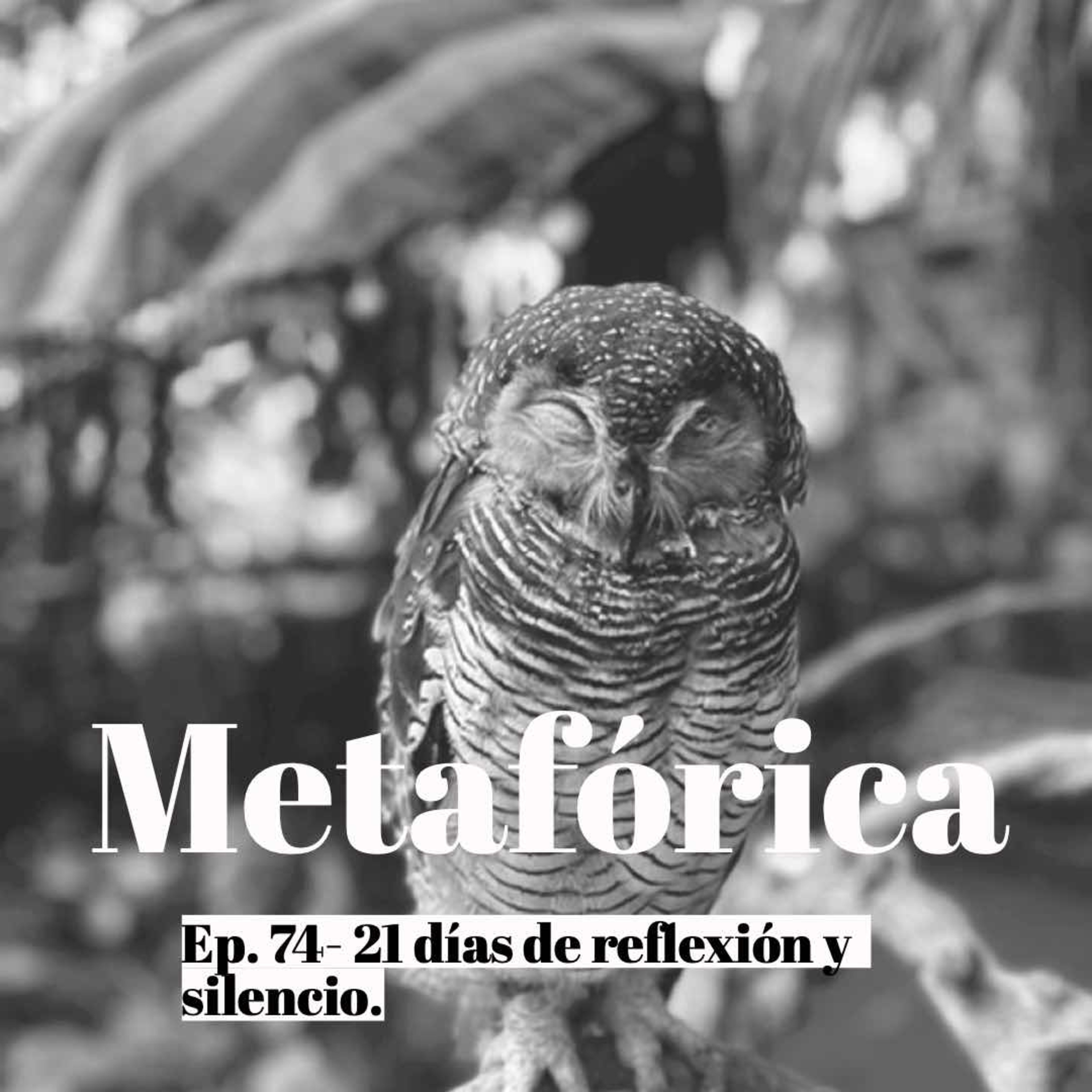 Metaforica