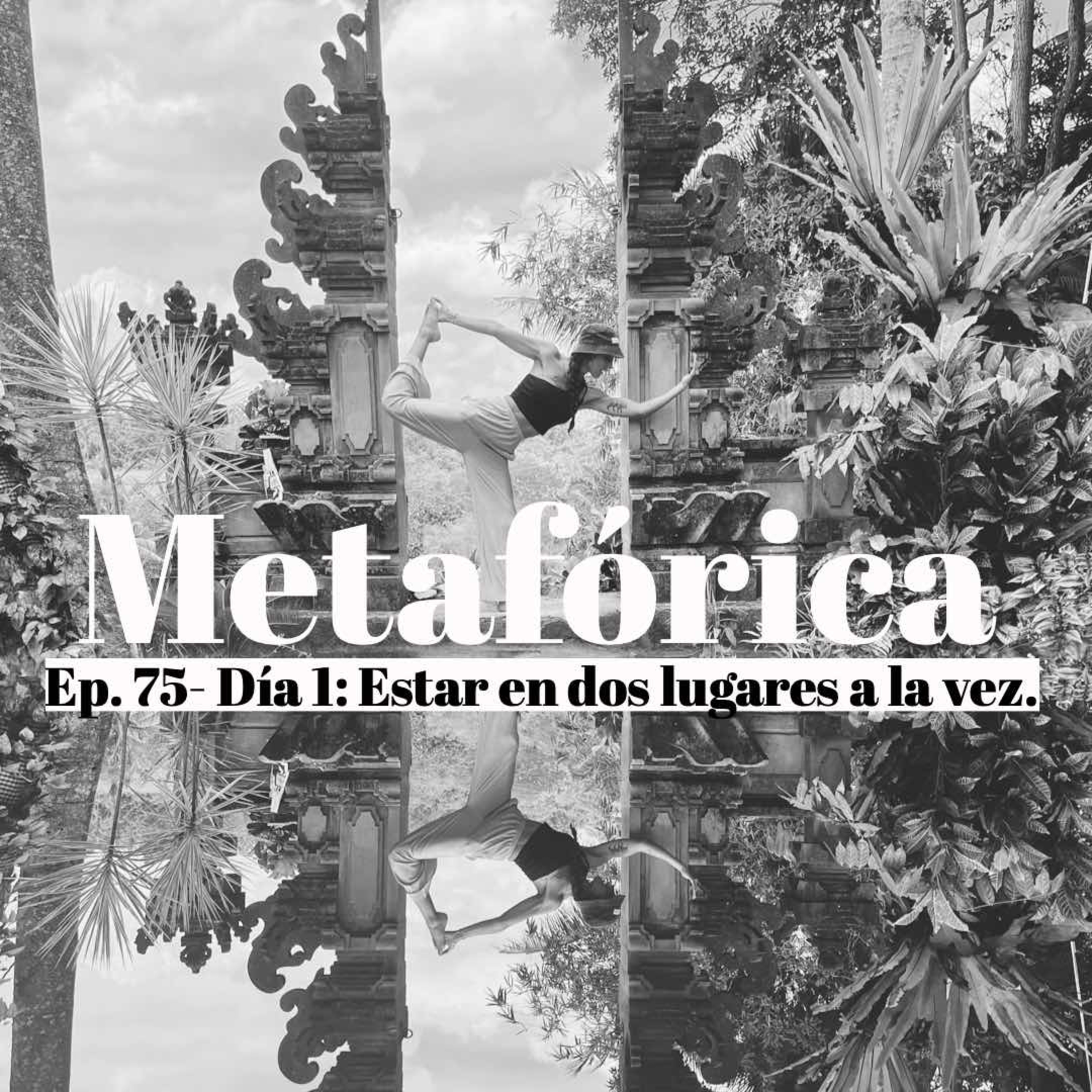 Metaforica