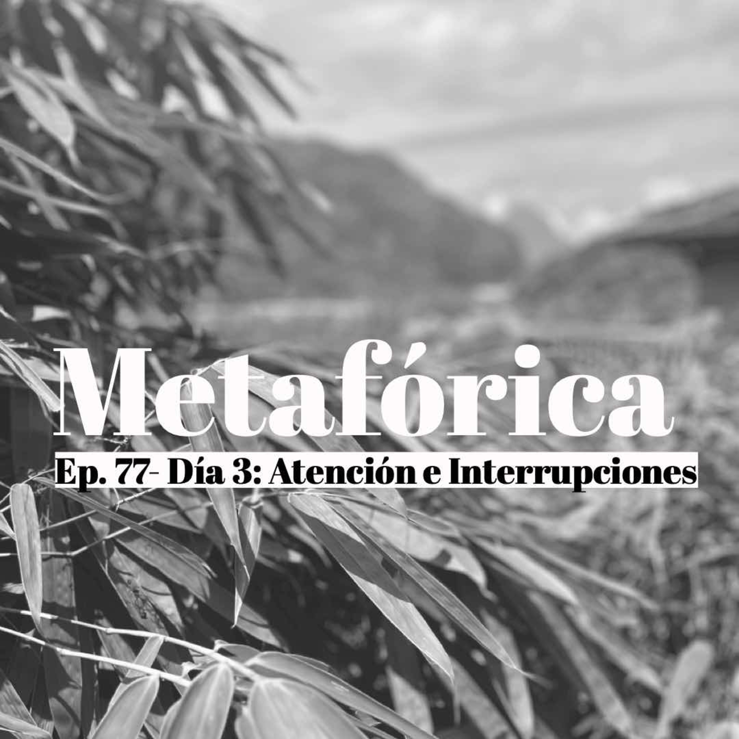 Metaforica