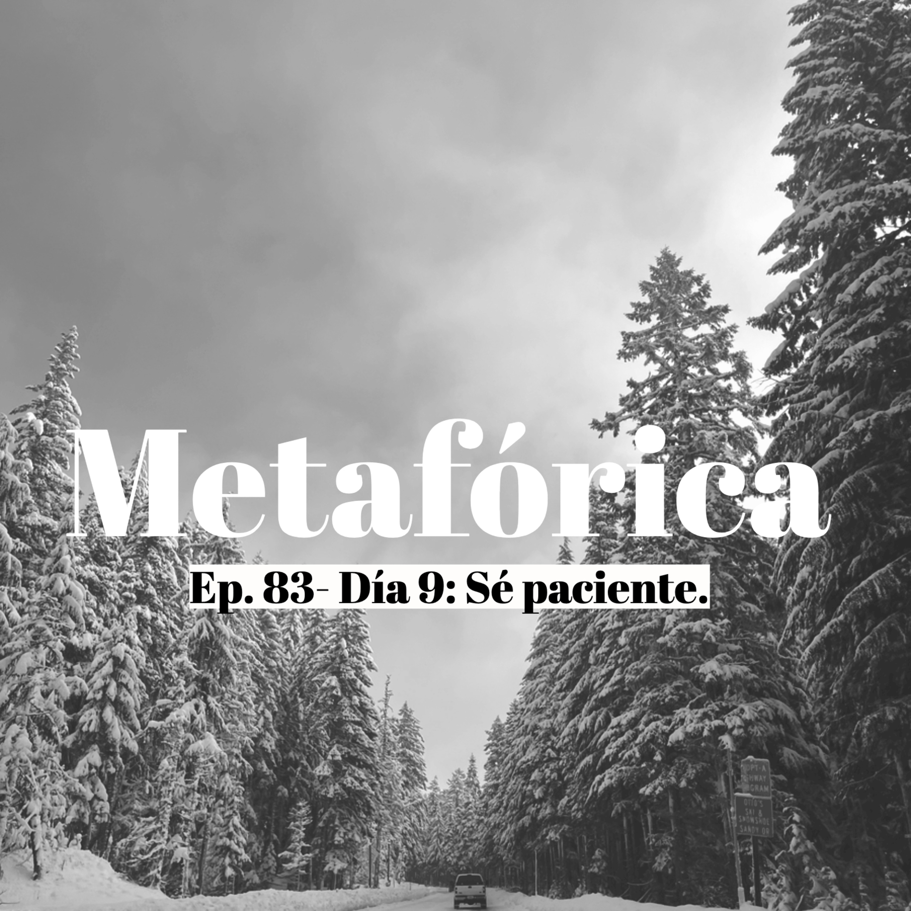 Metaforica