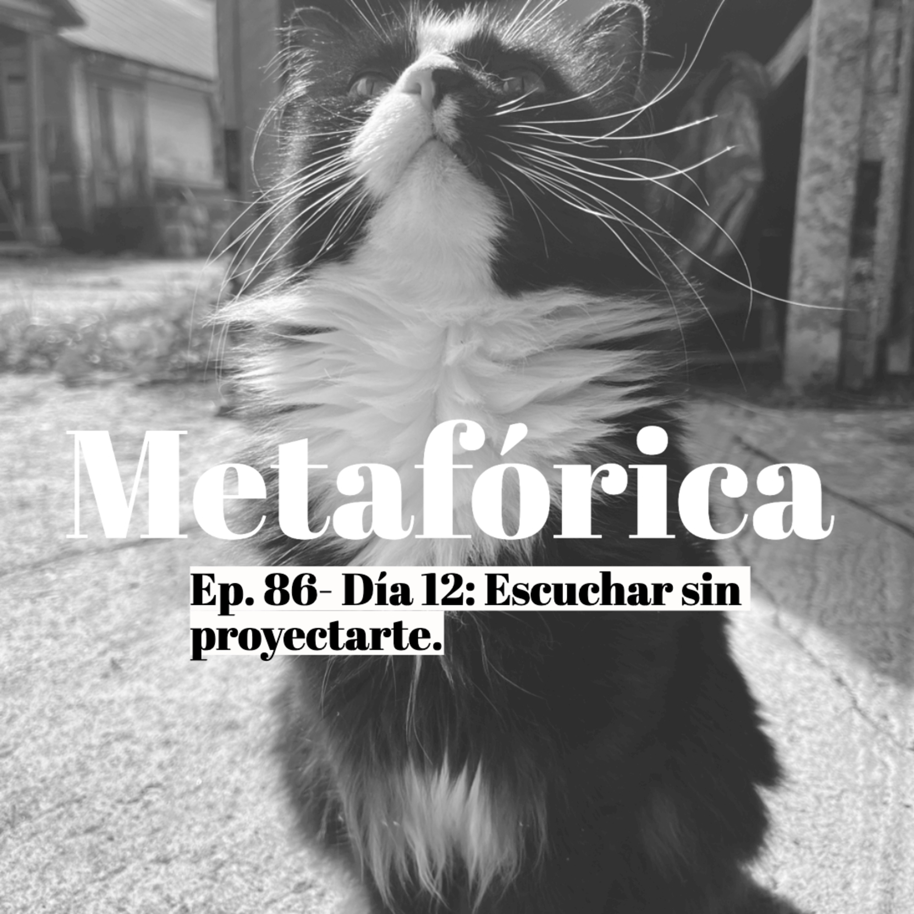 Metaforica
