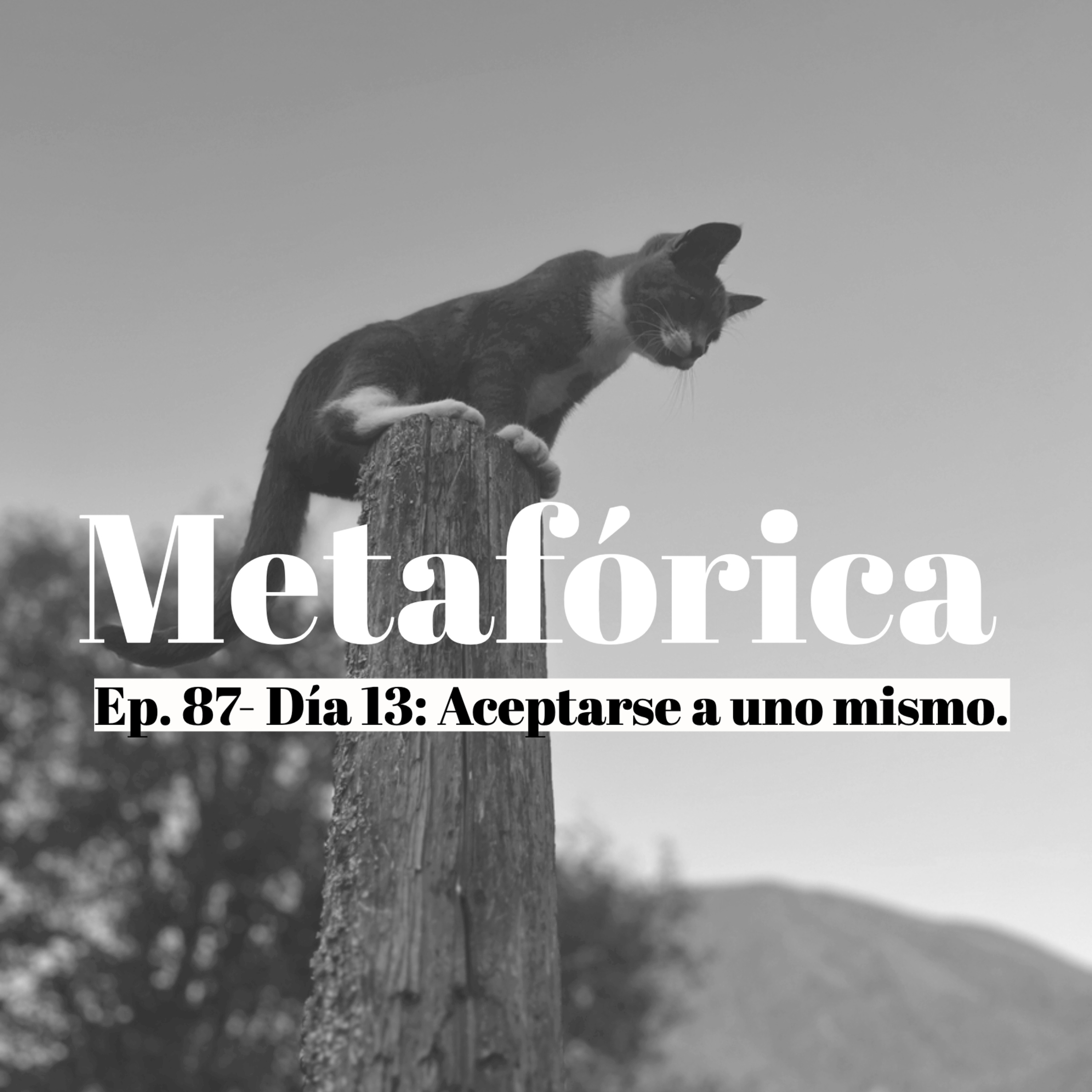 Metaforica