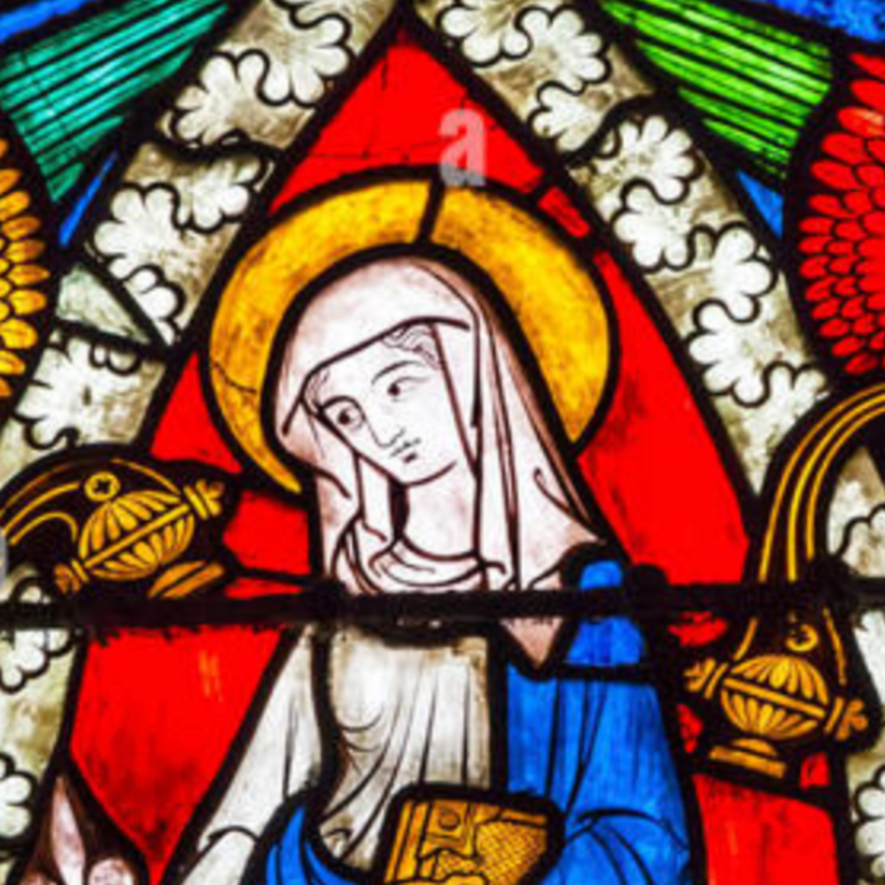 37. Feast of the Immaculate Conception