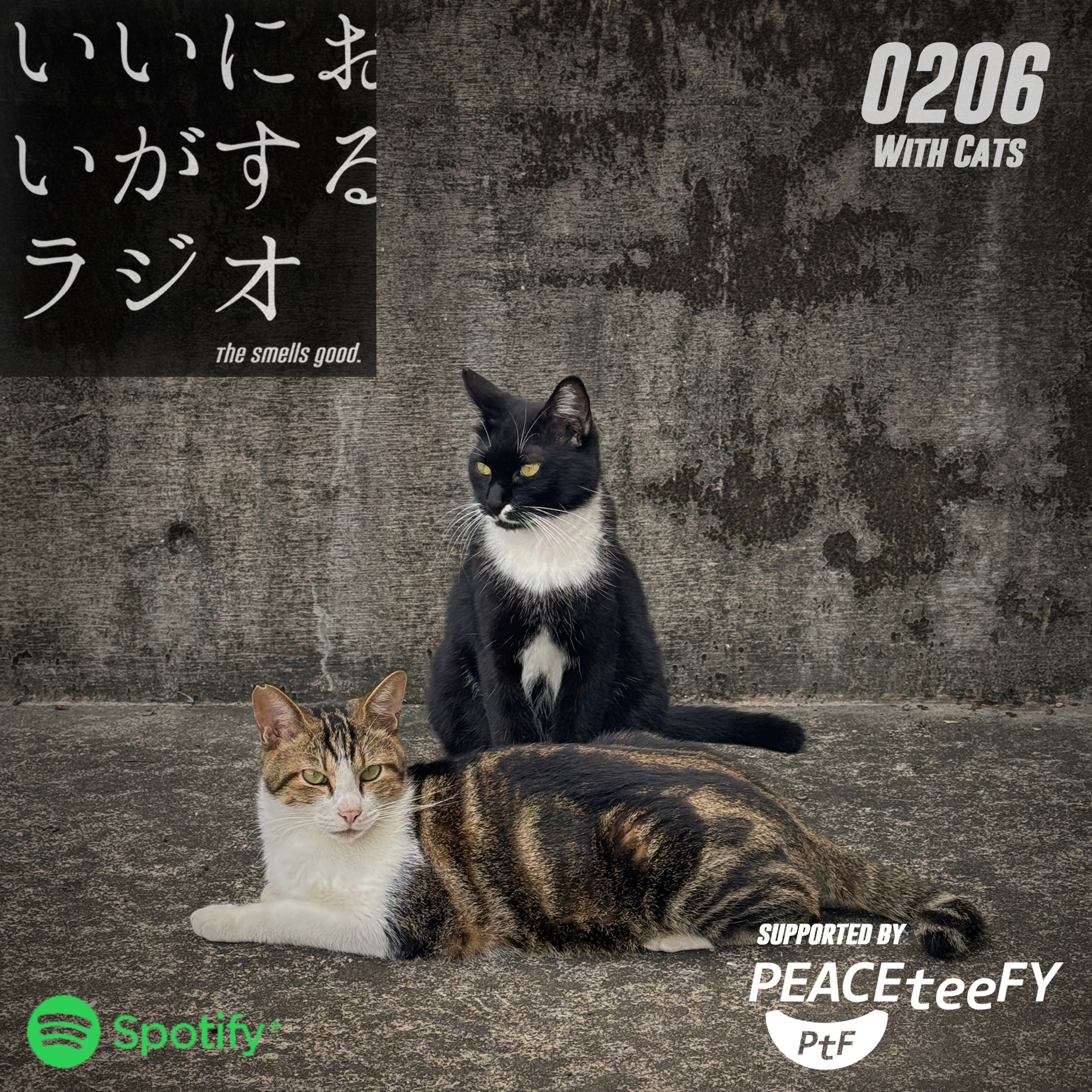 第六回目。