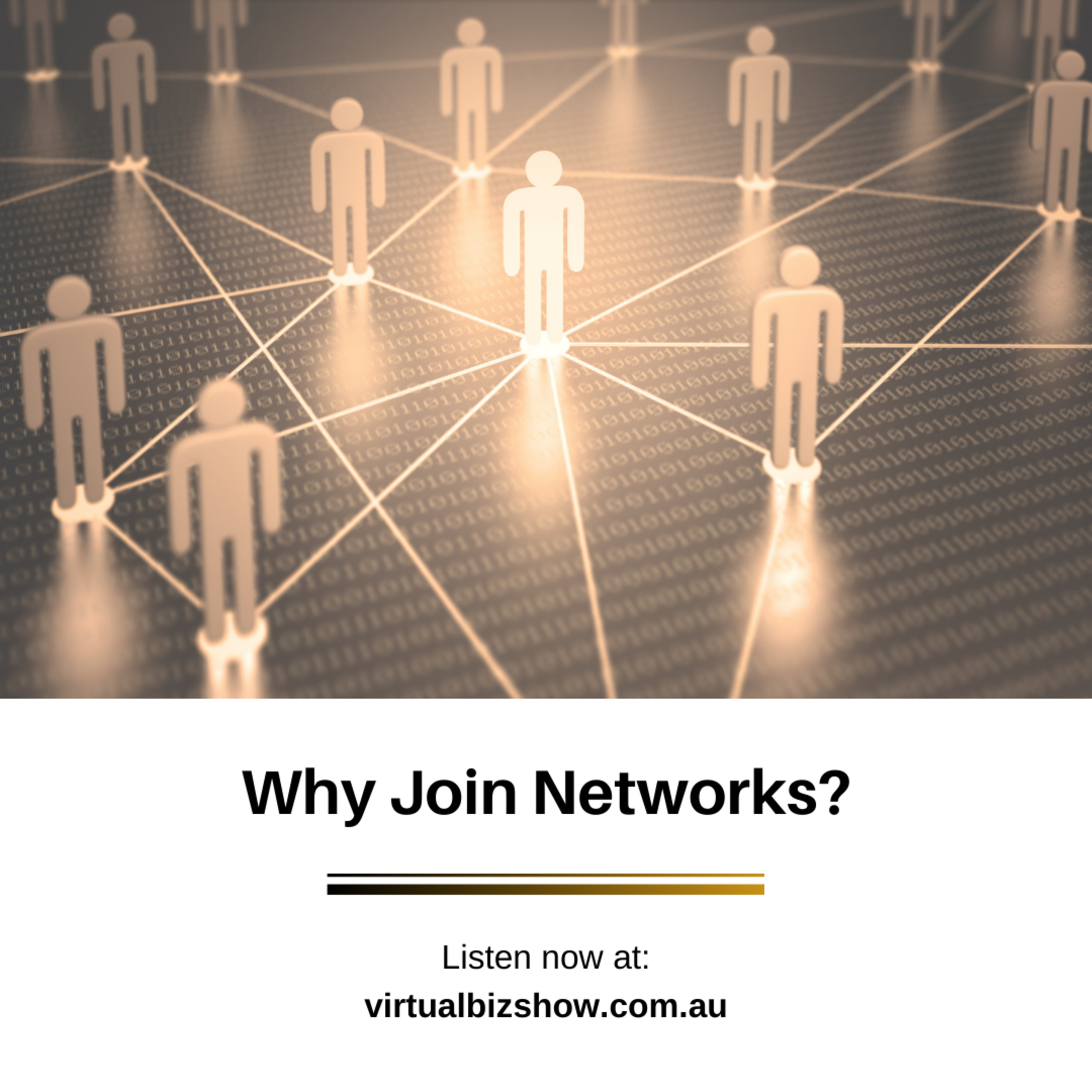 The Virtual Business Show