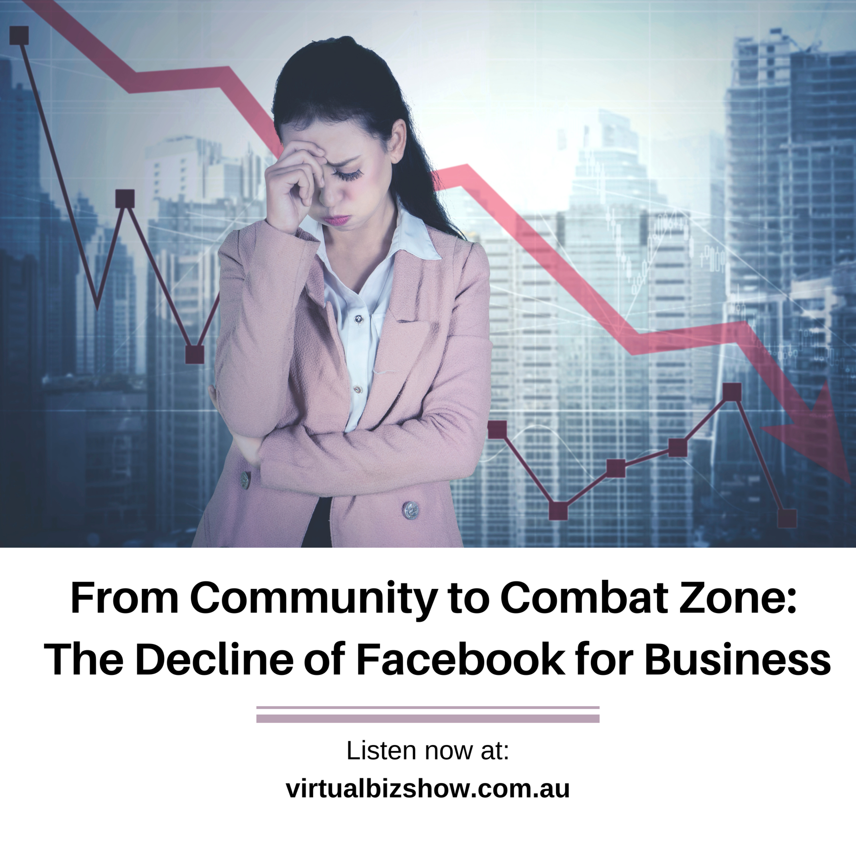 The Virtual Business Show