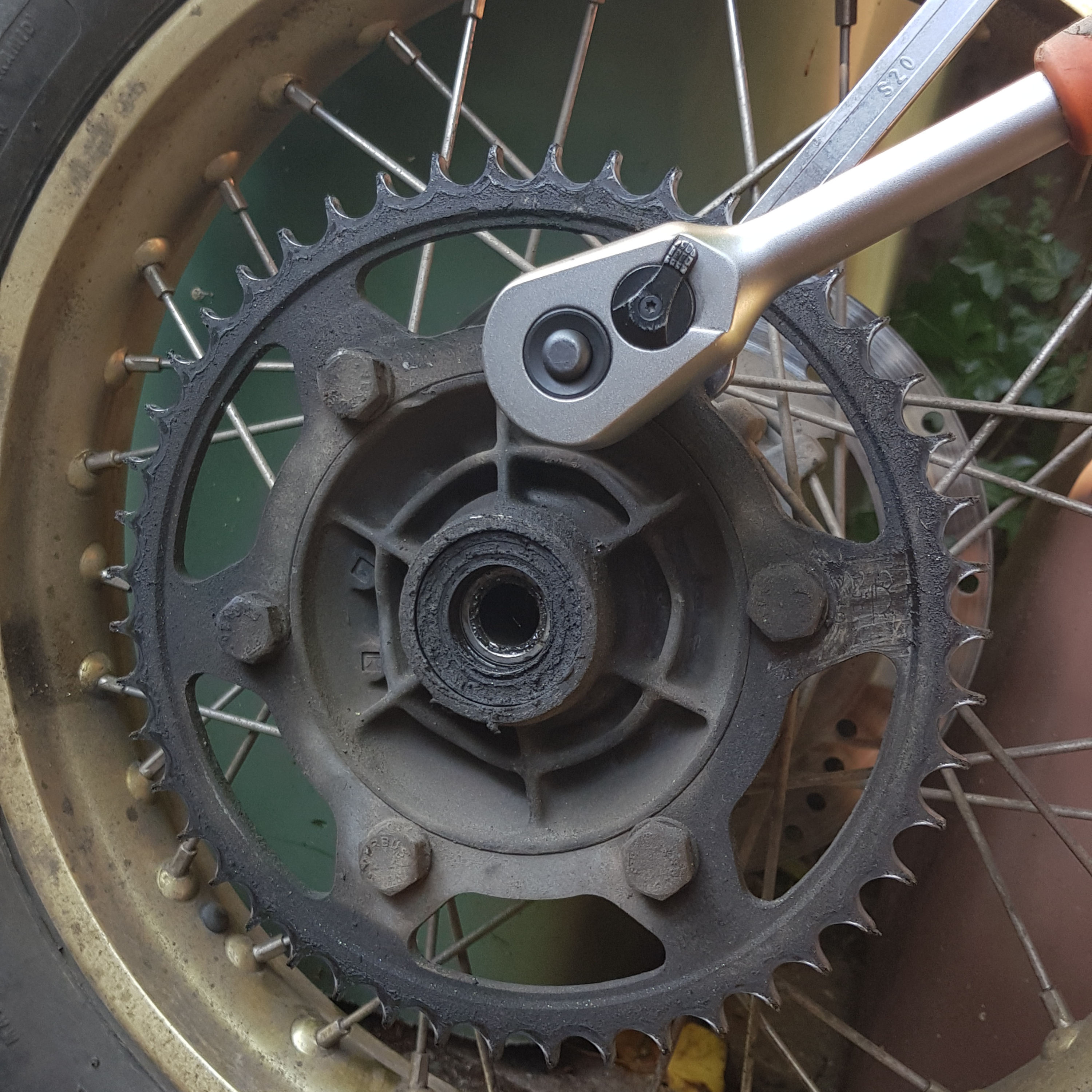 The Moto Chronicles
