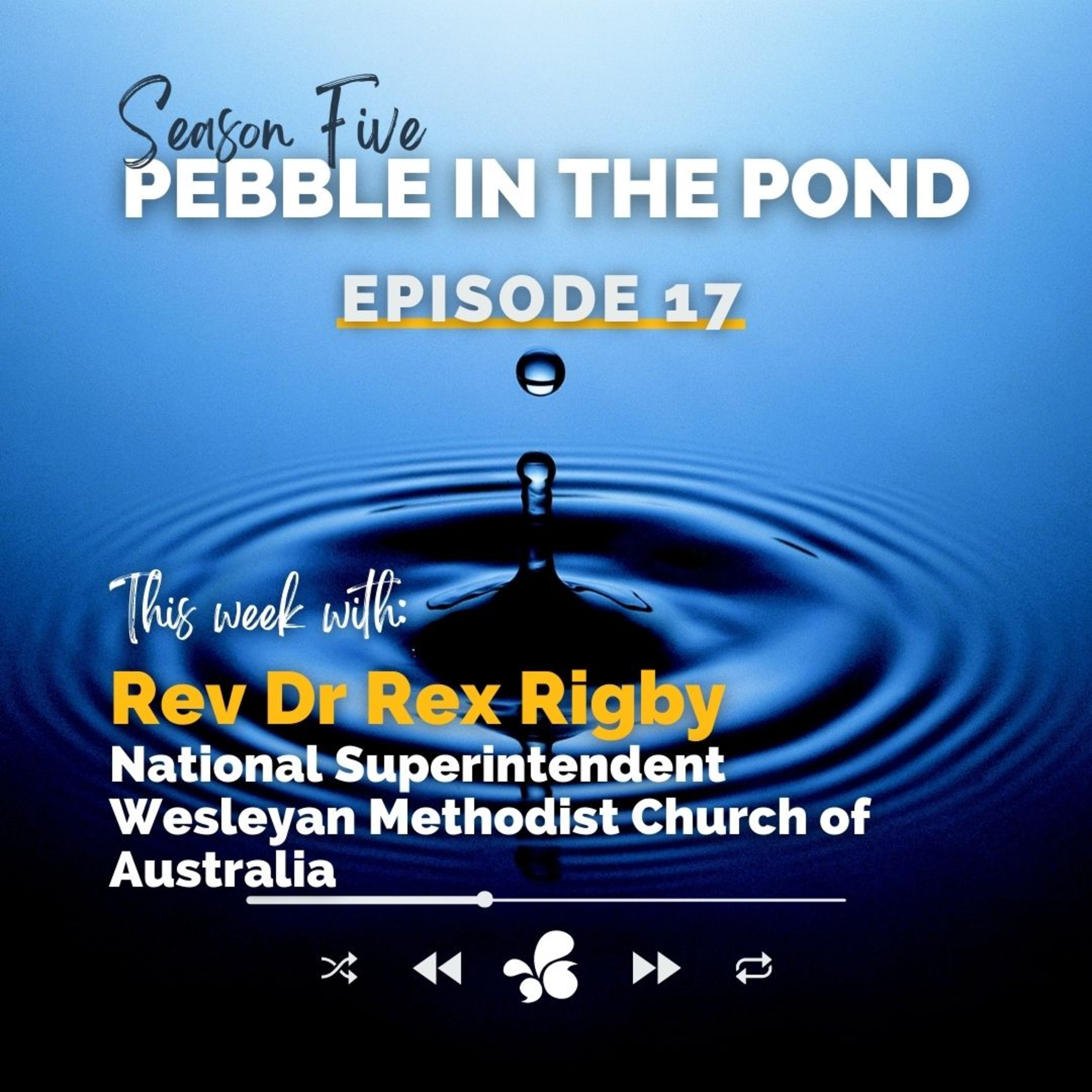 Pebble in the Pond