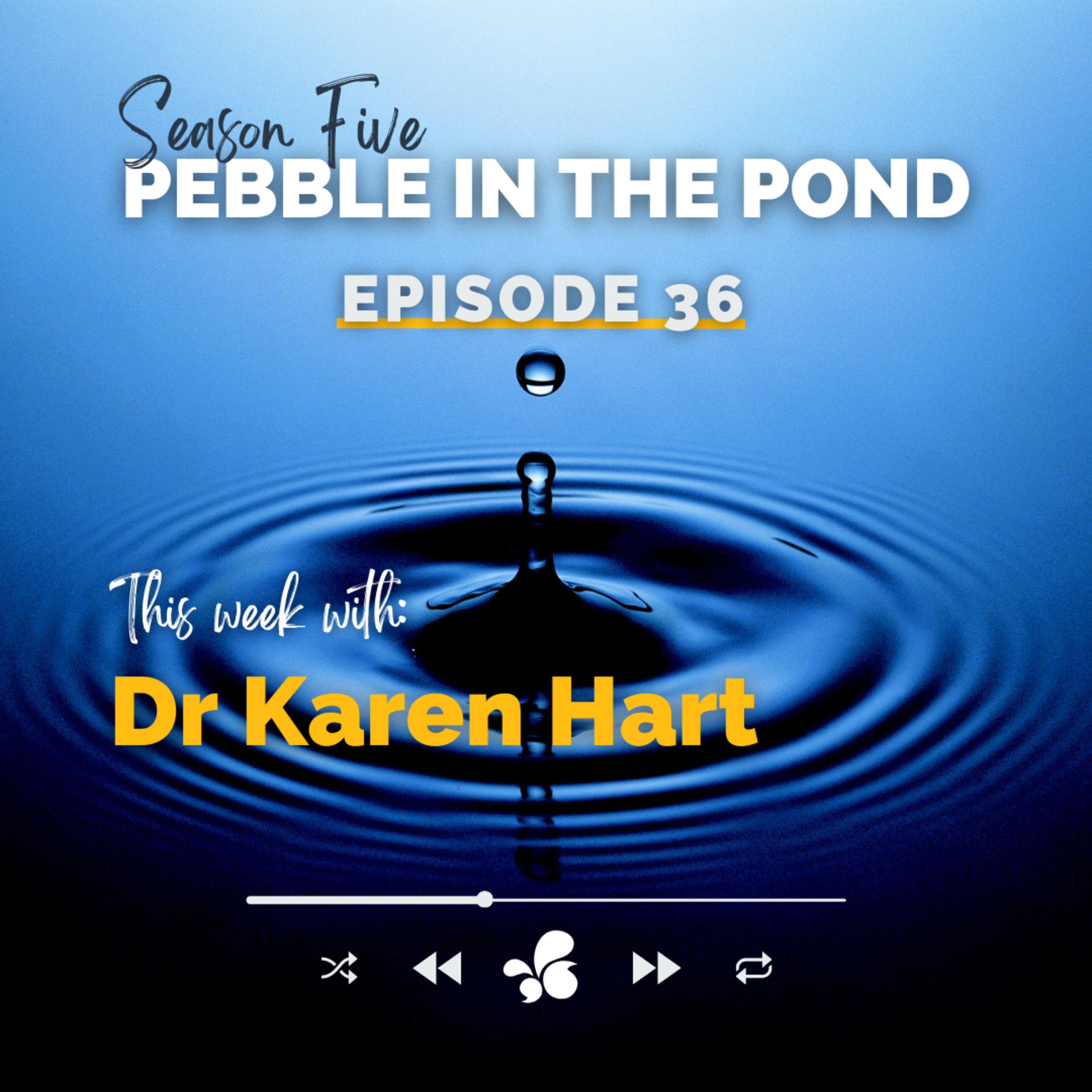 Pebble in the Pond