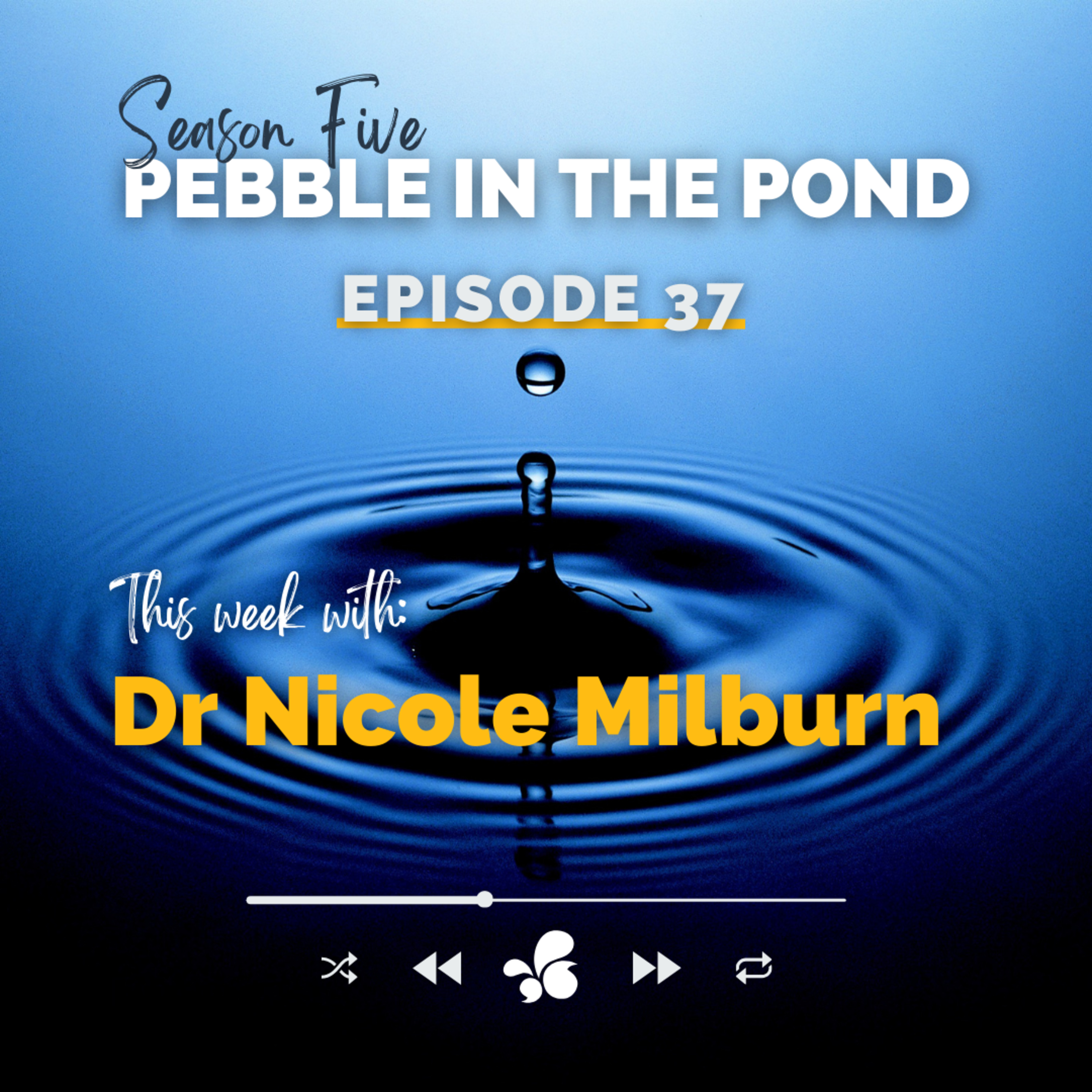 Pebble in the Pond