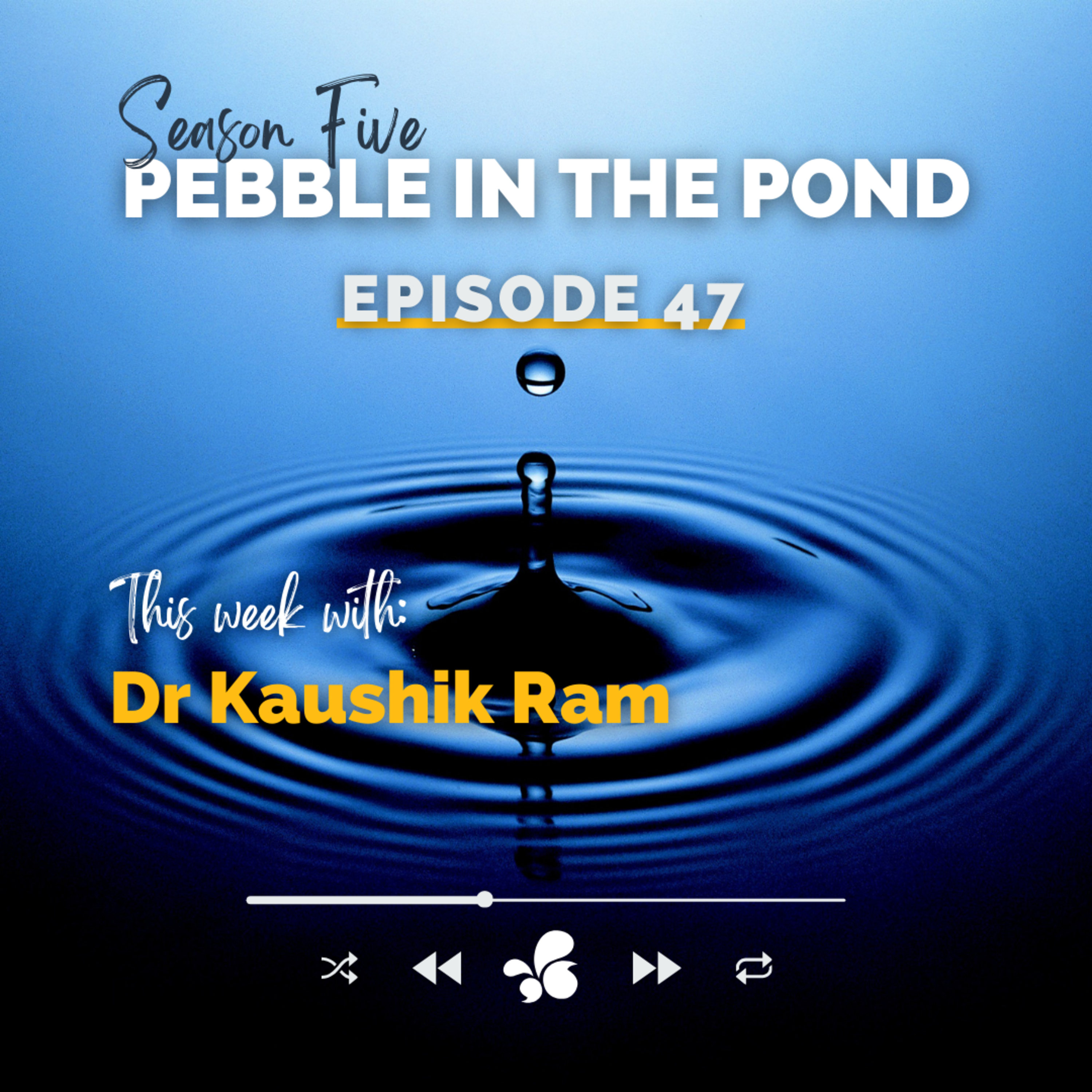 Pebble in the Pond