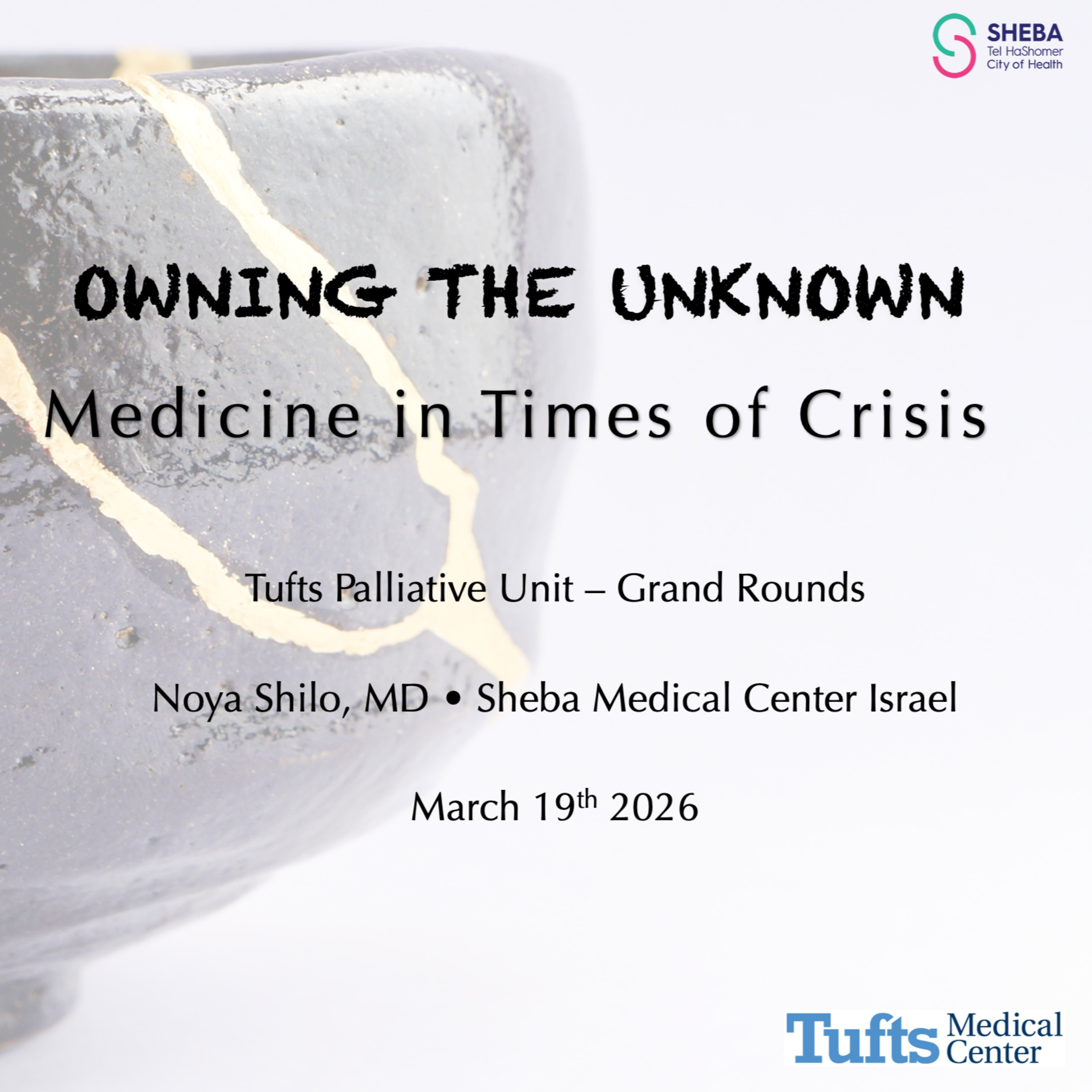 Owning the Unknown: Medicine in Times of Crisis