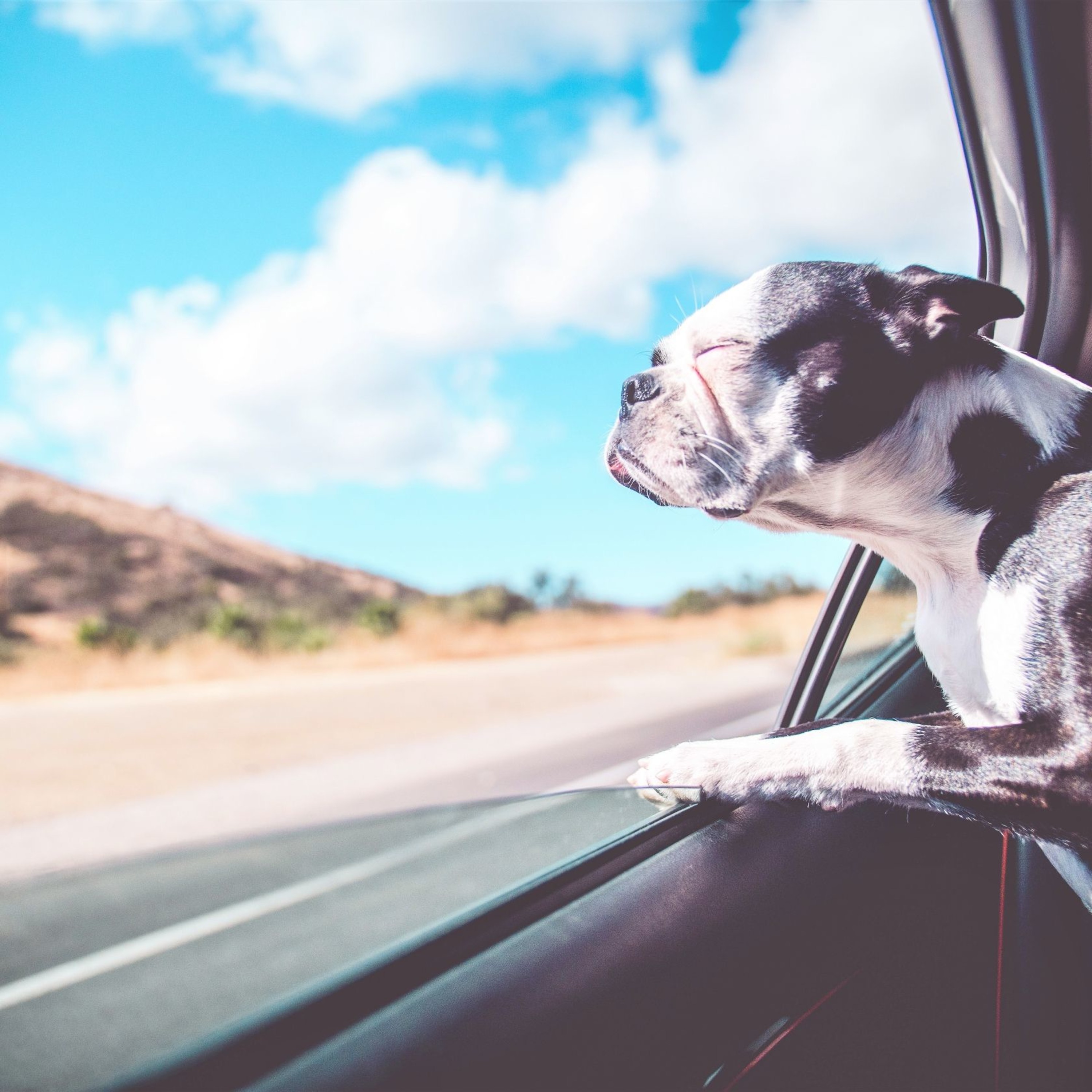 15 自分にはできないと思う理由と、簡単に変われる方法